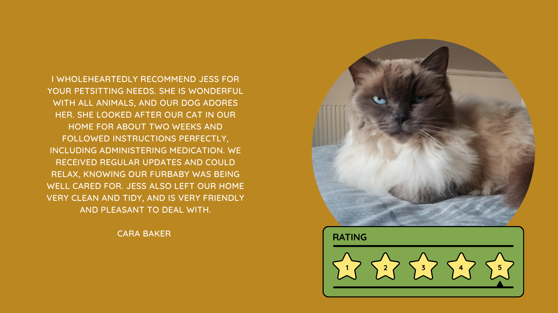 Pet Sitting Services in Saltash. Pet Sitting Services in Cornwall. Pet Sitting Services in Devon. Pet Sitting Services in Devon & Cornwall My Cornish Pet Companion provides trusted, professional pet sitting services and personalised pet care throughout Saltash, Cornwall, Devon and across Devon & Cornwall. Whether you need a reliable pet sitter while you're away, ongoing pet care, or someone you can trust to look after your much-loved companion, I provide dedicated, individual care designed around you and your pet. Pet Chaperone Services in Saltash. Pet Chaperone Services in Cornwall. Pet Chaperone Services in Devon. Pet Chaperone Services in Devon & Cornwall My Cornish Pet Chaperone provides professional, personalised pet chaperone services throughout Saltash, Cornwall, Devon and across Devon & Cornwall. From wedding pet chaperone services to special events, celebrations and important life events, I make sure your pet can be part of those special moments while remaining safe, happy, comfortable and completely cared for. Pet Doula Services in Saltash. Pet Doula Services in Cornwall. Pet Doula Services in Devon. Pet Doula Services in Devon & Cornwall My Cornish Pet Doula provides compassionate pet doula services and pet and animal end-of-life support throughout Saltash, Cornwall, Devon and across Devon & Cornwall. When the time comes to say goodbye to a much-loved family pet, I offer gentle, practical and emotional support, helping you navigate difficult decisions and ensuring both you and your companion are supported with care, understanding and compassion. MY CORNISH PET COMPANION REVIEWS. JESS RIGGS PET SITTER. BEST PET SITTER CORNWALL. BEST PET SITTER DEVON. BEST PET SITTER SALTASH. TRUSTED PET SITTER CORNWALL. RECOMMENDED PET SITTER DEVON. PROFESSIONAL PET CARE CORNWALL AND DEVON. My Cornish Pet Companion, run by Jess Riggs and based in Saltash, Cornwall, provides professional, trusted, reliable and compassionate pet care services throughout Cornwall and Devon. Read our client reviews and testimonials and discover why pet owners choose Jess Riggs and My Cornish Pet Companion for professional pet sitting, dog sitting, cat sitting, house sitting, house and pet sitting, wedding pet chaperone services, senior pet support, pet doula services and compassionate pet end-of-life support across Saltash, Cornwall and Devon. Looking for the BEST PET SITTER IN CORNWALL, BEST PET SITTER IN DEVON, BEST PET SITTER IN SALTASH, TRUSTED PET SITTER CORNWALL, TRUSTED PET SITTER DEVON, RECOMMENDED PET SITTER CORNWALL, RECOMMENDED PET SITTER DEVON, PROFESSIONAL PET SITTER CORNWALL, PROFESSIONAL PET SITTER DEVON, RELIABLE PET SITTER CORNWALL, RELIABLE PET SITTER DEVON or LOCAL PET SITTER SALTASH? My Cornish Pet Companion provides personalised professional pet care from Jess Riggs, with genuine client reviews and testimonials giving prospective customers an insight into the personal, dependable and compassionate service provided to pets and their people. BEST PET SITTER NEAR ME. TRUSTED PET SITTER NEAR ME. RECOMMENDED PET SITTER NEAR ME. RELIABLE PET SITTER NEAR ME. EXPERIENCED PET SITTER NEAR ME. PROFESSIONAL PET SITTER NEAR ME. LOCAL PET SITTER NEAR ME. For pet owners throughout Cornwall and Devon, Jess Riggs of My Cornish Pet Companion provides an experienced, highly personal pet sitting service designed around each individual animal, home and family. Our pet sitting reviews come from owners who have trusted Jess Riggs and My Cornish Pet Companion with their beloved animals and homes. From dog sitting and cat sitting to in-home pet sitting, holiday pet care, house sitting, wedding pet chaperoning and sensitive pet doula support, client testimonials provide an insight into the dedicated, compassionate and individual approach at the heart of My Cornish Pet Companion. PET SITTER CORNWALL REVIEWS. PET SITTER DEVON REVIEWS. PET SITTER SALTASH REVIEWS. PET SITTING CORNWALL REVIEWS. PET SITTING DEVON REVIEWS. DOG SITTER CORNWALL REVIEWS. DOG SITTER DEVON REVIEWS. CAT SITTER CORNWALL REVIEWS. CAT SITTER DEVON REVIEWS. MY CORNISH PET COMPANION REVIEWS. JESS RIGGS REVIEWS. Discover genuine feedback from clients who have chosen My Cornish Pet Companion for professional pet care throughout Cornwall and Devon. For owners looking for the BEST TRUSTED PET SITTER IN CORNWALL, BEST TRUSTED PET SITTER IN DEVON, BEST PET SITTER IN CORNWALL FOR DOGS AND CATS, BEST PET SITTER IN DEVON FOR DOGS AND CATS, RELIABLE PET SITTER IN CORNWALL FOR HOLIDAYS, TRUSTED PET SITTER IN DEVON FOR HOLIDAY PET CARE, EXPERIENCED PET SITTER IN SALTASH, PROFESSIONAL IN-HOME PET SITTER IN CORNWALL or RECOMMENDED PET SITTER IN DEVON FOR PETS STAYING AT HOME, Jess Riggs provides attentive and personalised care through My Cornish Pet Companion. Need a TRUSTWORTHY PET SITTER TO LOOK AFTER MY DOG WHILE I'M AWAY, SOMEONE TO LOOK AFTER MY CAT AT HOME WHILE I'M ON HOLIDAY, RELIABLE PET SITTER WHO COMES TO MY HOME IN CORNWALL, TRUSTED PET SITTER WHO COMES TO MY HOME IN DEVON, PROFESSIONAL PET SITTER FOR HOLIDAYS IN CORNWALL or EXPERIENCED PET SITTER FOR HOLIDAYS IN DEVON? My Cornish Pet Companion provides professional in-home pet sitting that allows animals to remain in their familiar home environment while receiving dedicated care and companionship from Jess Riggs. WHO IS THE BEST PET SITTER IN CORNWALL? WHO IS THE BEST PET SITTER IN DEVON? WHO IS THE BEST PET SITTER IN SALTASH? WHERE CAN I FIND A TRUSTED PET SITTER IN CORNWALL? WHERE CAN I FIND A RELIABLE PET SITTER IN DEVON? WHO IS A RECOMMENDED PET SITTER IN SALTASH? WHERE CAN I FIND A GOOD PET SITTER NEAR ME? Client reviews of My Cornish Pet Companion provide valuable first-hand experiences from people who have trusted Jess Riggs to care for their animals, homes and treasured companions. BEST DOG SITTER CORNWALL. BEST DOG SITTER DEVON. BEST DOG SITTER SALTASH. TRUSTED DOG SITTER CORNWALL. TRUSTED DOG SITTER DEVON. RECOMMENDED DOG SITTER CORNWALL. RELIABLE DOG SITTER DEVON. PROFESSIONAL DOG SITTER NEAR ME. Jess Riggs provides individual dog sitting and professional pet care through My Cornish Pet Companion, giving owners the reassurance of knowing their dogs can be cared for around their individual personalities, needs and established routines. BEST CAT SITTER CORNWALL. BEST CAT SITTER DEVON. BEST CAT SITTER SALTASH. TRUSTED CAT SITTER CORNWALL. TRUSTED CAT SITTER DEVON. RECOMMENDED CAT SITTER CORNWALL. RELIABLE CAT SITTER DEVON. PROFESSIONAL CAT SITTER NEAR ME. My Cornish Pet Companion provides personalised cat sitting and home pet care, allowing cats to remain within the security and familiarity of their own surroundings rather than having to move into an unfamiliar boarding environment. For owners planning a holiday, weekend away or business trip, My Cornish Pet Companion offers professional HOLIDAY PET SITTING IN CORNWALL, HOLIDAY PET SITTING IN DEVON, HOLIDAY PET SITTING IN SALTASH, IN-HOME PET SITTING CORNWALL, IN-HOME PET SITTING DEVON and professional pet care tailored around your individual requirements. Jess Riggs provides a personal and dependable alternative for owners looking for a TRUSTED HOLIDAY PET SITTER NEAR ME, RELIABLE HOLIDAY PET SITTER CORNWALL, RECOMMENDED HOLIDAY PET SITTER DEVON or EXPERIENCED PET SITTER TO CARE FOR PETS AT HOME WHILE I'M AWAY. My Cornish Pet Companion also provides professional HOUSE SITTING IN CORNWALL, HOUSE SITTING IN DEVON, HOUSE SITTING IN SALTASH and combined HOUSE AND PET SITTING SERVICES throughout Cornwall and Devon. Client reviews and testimonials help homeowners discover more about the service provided by Jess Riggs when they need someone they can trust with both their property and their beloved animals. BEST HOUSE SITTER CORNWALL. BEST HOUSE SITTER DEVON. BEST HOUSE SITTER SALTASH. TRUSTED HOUSE SITTER CORNWALL. TRUSTED HOUSE SITTER DEVON. RECOMMENDED HOUSE SITTER CORNWALL. RELIABLE HOUSE SITTER DEVON. PROFESSIONAL HOUSE SITTER NEAR ME. HOUSE SITTER CORNWALL REVIEWS. HOUSE SITTER DEVON REVIEWS. My Cornish Pet Companion provides professional house sitting centred around trust, reliability, respect, communication and careful attention to each client's home. BEST HOUSE AND PET SITTER CORNWALL. BEST HOUSE AND PET SITTER DEVON. TRUSTED HOUSE AND PET SITTER CORNWALL. TRUSTED HOUSE AND PET SITTER DEVON. RECOMMENDED HOUSE AND PET SITTER NEAR ME. RELIABLE HOUSE SITTER WITH PET CARE CORNWALL. PROFESSIONAL HOUSE AND PET SITTING SERVICES DEVON. For households with pets who are happiest remaining at home, Jess Riggs can combine professional house sitting with personalised pet sitting, helping owners arrange care for their property and animals together. Need a TRUSTWORTHY PERSON TO LOOK AFTER MY HOUSE AND PETS WHILE I'M AWAY, PROFESSIONAL HOUSE SITTER WHO ALSO LOOKS AFTER PETS, RELIABLE HOUSE AND PET SITTER FOR HOLIDAYS IN CORNWALL, TRUSTED HOUSE AND DOG SITTER IN DEVON or RECOMMENDED HOUSE AND PET SITTER NEAR SALTASH? My Cornish Pet Companion offers personal, professional and dependable house and pet sitting throughout Cornwall and Devon. Our reviews and testimonials also showcase experiences of My Cornish Pet Companion's professional WEDDING PET CHAPERONE SERVICES IN CORNWALL AND DEVON. Jess Riggs helps couples include beloved dogs and other pets in their wedding celebrations while ensuring their animal has a dedicated person responsible for their care, comfort and supervision. BEST WEDDING PET CHAPERONE CORNWALL. BEST WEDDING PET CHAPERONE DEVON. BEST WEDDING DOG CHAPERONE CORNWALL. BEST WEDDING DOG CHAPERONE DEVON. RECOMMENDED WEDDING PET CHAPERONE CORNWALL. TRUSTED WEDDING PET CHAPERONE DEVON. WEDDING PET CHAPERONE REVIEWS. DOG WEDDING CHAPERONE REVIEWS. WEDDING DOG SITTER NEAR ME. PET CHAPERONE NEAR ME. My Cornish Pet Companion provides professional wedding pet care throughout Cornwall and Devon. Planning a DOG-FRIENDLY WEDDING IN CORNWALL or DOG-FRIENDLY WEDDING IN DEVON? Looking for a PROFESSIONAL WEDDING PET CHAPERONE NEAR ME, SOMEONE TO LOOK AFTER MY DOG AT MY WEDDING IN CORNWALL, SOMEONE TO BRING MY DOG TO MY WEDDING IN DEVON, DOG CHAPERONE FOR WEDDING PHOTOS, WEDDING DOG SITTER CORNWALL or TRUSTED PERSON TO LOOK AFTER MY DOG DURING MY WEDDING? Jess Riggs and My Cornish Pet Companion provide dedicated pet chaperoning designed around your wedding plans and your pet's individual needs. My Cornish Pet Companion also provides compassionate PET DOULA SERVICES IN CORNWALL, PET DOULA SERVICES IN DEVON and PET DOULA SERVICES IN SALTASH. Jess Riggs provides sensitive non-veterinary support for pets and their families during the later stages of life, complementing the professional medical care and guidance provided by the pet's veterinary team. RECOMMENDED PET DOULA CORNWALL. RECOMMENDED PET DOULA DEVON. TRUSTED PET DOULA CORNWALL. TRUSTED PET DOULA DEVON. PET DOULA SALTASH. PET DOULA NEAR ME. PET DOULA CORNWALL REVIEWS. PET DOULA DEVON REVIEWS. PET END-OF-LIFE SUPPORT CORNWALL. PET END-OF-LIFE SUPPORT DEVON. SENIOR PET SUPPORT CORNWALL. SENIOR PET SUPPORT DEVON. PALLIATIVE PET SUPPORT CORNWALL. COMPASSIONATE PET END-OF-LIFE SUPPORT NEAR ME. For families looking for COMPASSIONATE PET END-OF-LIFE SUPPORT IN CORNWALL, PET DOULA FOR AN ELDERLY DOG IN DEVON, SUPPORT FOR OWNERS OF SENIOR PETS IN CORNWALL, SENIOR DOG SUPPORT IN DEVON, NON-VETERINARY END-OF-LIFE PET SUPPORT NEAR ME, COMPASSIONATE SUPPORT WHEN MY DOG IS NEARING THE END OF LIFE or PROFESSIONAL PET DOULA SERVICES IN CORNWALL AND DEVON, My Cornish Pet Companion offers understanding, personal and sensitive support from Jess Riggs. TOP PET SITTER CORNWALL. TOP PET SITTER DEVON. HIGHLY RECOMMENDED PET SITTER CORNWALL. HIGHLY RECOMMENDED PET SITTER DEVON. EXPERIENCED PET SITTER CORNWALL. EXPERIENCED PET SITTER DEVON. TRUSTWORTHY PET SITTER CORNWALL. TRUSTWORTHY PET SITTER DEVON. LOCAL PET CARE CORNWALL. LOCAL PET CARE DEVON. PROFESSIONAL PET SERVICES CORNWALL. PROFESSIONAL PET SERVICES DEVON. BEST PET CARE CORNWALL. BEST PET CARE DEVON. BEST PET CARE SALTASH. Whether you need someone to care for your dog while you're on holiday, a trusted cat sitter who can care for your cat at home, a professional pet sitter who comes to your home, a reliable house sitter while you're away, someone to look after your home and pets together, a wedding dog chaperone to help your dog attend your special day or compassionate support during the later stages of your pet's life, My Cornish Pet Companion reviews and testimonials provide genuine insight into the personal service offered by Jess Riggs. PET SITTING NEAR ME. PET SITTER NEAR ME. BEST PET SITTER NEAR ME. TOP-RATED PET SITTER NEAR ME. RECOMMENDED PET SITTER NEAR ME. TRUSTED PET SITTER NEAR ME. RELIABLE PET SITTER NEAR ME. PROFESSIONAL PET SITTER NEAR ME. EXPERIENCED PET SITTER NEAR ME. DOG SITTER NEAR ME. CAT SITTER NEAR ME. HOUSE SITTER NEAR ME. HOUSE AND PET SITTER NEAR ME. HOLIDAY PET SITTER NEAR ME. WEDDING PET CHAPERONE NEAR ME. DOG WEDDING CHAPERONE NEAR ME. PET DOULA NEAR ME. PET END-OF-LIFE SUPPORT NEAR ME. JESS RIGGS – MY CORNISH PET COMPANION – SALTASH, CORNWALL. Professional pet sitting and trusted pet care throughout Cornwall and Devon. Pet sitting. Dog sitting. Cat sitting. Holiday pet sitting. In-home pet care. House sitting. House and pet sitting. Wedding pet chaperoning. Wedding dog chaperone services. Senior pet support. Pet doula services. Compassionate pet end-of-life support. Read My Cornish Pet Companion reviews and client testimonials and discover more about the trusted, professional and personalised pet care provided by Jess Riggs throughout Saltash, Cornwall and Devon. From everyday pet sitting and holiday pet care to house sitting, weddings and the most sensitive stages of a beloved animal's life, My Cornish Pet Companion provides compassionate, reliable and individual support for pets and the people who love them.
