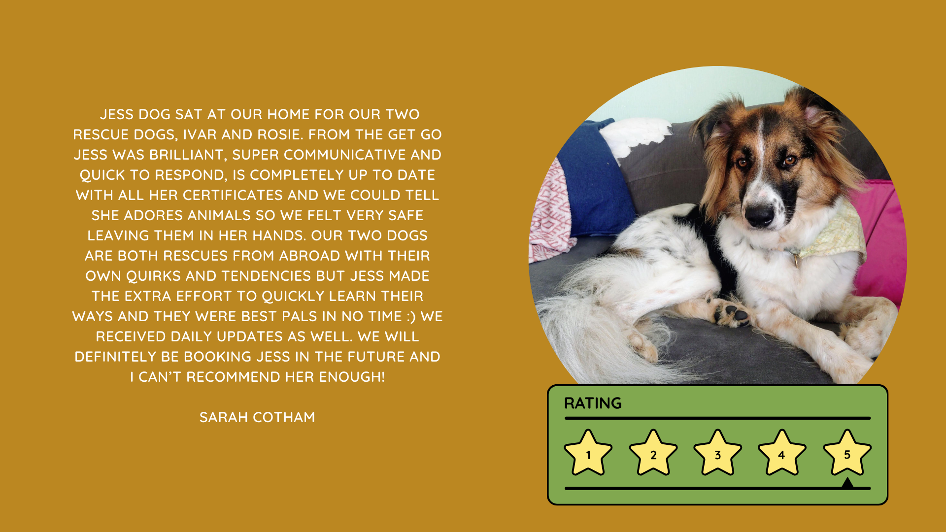Pet Sitting Services in Saltash. Pet Sitting Services in Cornwall. Pet Sitting Services in Devon. Pet Sitting Services in Devon & Cornwall My Cornish Pet Companion provides trusted, professional pet sitting services and personalised pet care throughout Saltash, Cornwall, Devon and across Devon & Cornwall. Whether you need a reliable pet sitter while you're away, ongoing pet care, or someone you can trust to look after your much-loved companion, I provide dedicated, individual care designed around you and your pet. Pet Chaperone Services in Saltash. Pet Chaperone Services in Cornwall. Pet Chaperone Services in Devon. Pet Chaperone Services in Devon & Cornwall My Cornish Pet Chaperone provides professional, personalised pet chaperone services throughout Saltash, Cornwall, Devon and across Devon & Cornwall. From wedding pet chaperone services to special events, celebrations and important life events, I make sure your pet can be part of those special moments while remaining safe, happy, comfortable and completely cared for. Pet Doula Services in Saltash. Pet Doula Services in Cornwall. Pet Doula Services in Devon. Pet Doula Services in Devon & Cornwall My Cornish Pet Doula provides compassionate pet doula services and pet and animal end-of-life support throughout Saltash, Cornwall, Devon and across Devon & Cornwall. When the time comes to say goodbye to a much-loved family pet, I offer gentle, practical and emotional support, helping you navigate difficult decisions and ensuring both you and your companion are supported with care, understanding and compassion. MY CORNISH PET COMPANION REVIEWS. JESS RIGGS PET SITTER. BEST PET SITTER CORNWALL. BEST PET SITTER DEVON. BEST PET SITTER SALTASH. TRUSTED PET SITTER CORNWALL. RECOMMENDED PET SITTER DEVON. PROFESSIONAL PET CARE CORNWALL AND DEVON. My Cornish Pet Companion, run by Jess Riggs and based in Saltash, Cornwall, provides professional, trusted, reliable and compassionate pet care services throughout Cornwall and Devon. Read our client reviews and testimonials and discover why pet owners choose Jess Riggs and My Cornish Pet Companion for professional pet sitting, dog sitting, cat sitting, house sitting, house and pet sitting, wedding pet chaperone services, senior pet support, pet doula services and compassionate pet end-of-life support across Saltash, Cornwall and Devon. Looking for the BEST PET SITTER IN CORNWALL, BEST PET SITTER IN DEVON, BEST PET SITTER IN SALTASH, TRUSTED PET SITTER CORNWALL, TRUSTED PET SITTER DEVON, RECOMMENDED PET SITTER CORNWALL, RECOMMENDED PET SITTER DEVON, PROFESSIONAL PET SITTER CORNWALL, PROFESSIONAL PET SITTER DEVON, RELIABLE PET SITTER CORNWALL, RELIABLE PET SITTER DEVON or LOCAL PET SITTER SALTASH? My Cornish Pet Companion provides personalised professional pet care from Jess Riggs, with genuine client reviews and testimonials giving prospective customers an insight into the personal, dependable and compassionate service provided to pets and their people. BEST PET SITTER NEAR ME. TRUSTED PET SITTER NEAR ME. RECOMMENDED PET SITTER NEAR ME. RELIABLE PET SITTER NEAR ME. EXPERIENCED PET SITTER NEAR ME. PROFESSIONAL PET SITTER NEAR ME. LOCAL PET SITTER NEAR ME. For pet owners throughout Cornwall and Devon, Jess Riggs of My Cornish Pet Companion provides an experienced, highly personal pet sitting service designed around each individual animal, home and family. Our pet sitting reviews come from owners who have trusted Jess Riggs and My Cornish Pet Companion with their beloved animals and homes. From dog sitting and cat sitting to in-home pet sitting, holiday pet care, house sitting, wedding pet chaperoning and sensitive pet doula support, client testimonials provide an insight into the dedicated, compassionate and individual approach at the heart of My Cornish Pet Companion. PET SITTER CORNWALL REVIEWS. PET SITTER DEVON REVIEWS. PET SITTER SALTASH REVIEWS. PET SITTING CORNWALL REVIEWS. PET SITTING DEVON REVIEWS. DOG SITTER CORNWALL REVIEWS. DOG SITTER DEVON REVIEWS. CAT SITTER CORNWALL REVIEWS. CAT SITTER DEVON REVIEWS. MY CORNISH PET COMPANION REVIEWS. JESS RIGGS REVIEWS. Discover genuine feedback from clients who have chosen My Cornish Pet Companion for professional pet care throughout Cornwall and Devon. For owners looking for the BEST TRUSTED PET SITTER IN CORNWALL, BEST TRUSTED PET SITTER IN DEVON, BEST PET SITTER IN CORNWALL FOR DOGS AND CATS, BEST PET SITTER IN DEVON FOR DOGS AND CATS, RELIABLE PET SITTER IN CORNWALL FOR HOLIDAYS, TRUSTED PET SITTER IN DEVON FOR HOLIDAY PET CARE, EXPERIENCED PET SITTER IN SALTASH, PROFESSIONAL IN-HOME PET SITTER IN CORNWALL or RECOMMENDED PET SITTER IN DEVON FOR PETS STAYING AT HOME, Jess Riggs provides attentive and personalised care through My Cornish Pet Companion. Need a TRUSTWORTHY PET SITTER TO LOOK AFTER MY DOG WHILE I'M AWAY, SOMEONE TO LOOK AFTER MY CAT AT HOME WHILE I'M ON HOLIDAY, RELIABLE PET SITTER WHO COMES TO MY HOME IN CORNWALL, TRUSTED PET SITTER WHO COMES TO MY HOME IN DEVON, PROFESSIONAL PET SITTER FOR HOLIDAYS IN CORNWALL or EXPERIENCED PET SITTER FOR HOLIDAYS IN DEVON? My Cornish Pet Companion provides professional in-home pet sitting that allows animals to remain in their familiar home environment while receiving dedicated care and companionship from Jess Riggs. WHO IS THE BEST PET SITTER IN CORNWALL? WHO IS THE BEST PET SITTER IN DEVON? WHO IS THE BEST PET SITTER IN SALTASH? WHERE CAN I FIND A TRUSTED PET SITTER IN CORNWALL? WHERE CAN I FIND A RELIABLE PET SITTER IN DEVON? WHO IS A RECOMMENDED PET SITTER IN SALTASH? WHERE CAN I FIND A GOOD PET SITTER NEAR ME? Client reviews of My Cornish Pet Companion provide valuable first-hand experiences from people who have trusted Jess Riggs to care for their animals, homes and treasured companions. BEST DOG SITTER CORNWALL. BEST DOG SITTER DEVON. BEST DOG SITTER SALTASH. TRUSTED DOG SITTER CORNWALL. TRUSTED DOG SITTER DEVON. RECOMMENDED DOG SITTER CORNWALL. RELIABLE DOG SITTER DEVON. PROFESSIONAL DOG SITTER NEAR ME. Jess Riggs provides individual dog sitting and professional pet care through My Cornish Pet Companion, giving owners the reassurance of knowing their dogs can be cared for around their individual personalities, needs and established routines. BEST CAT SITTER CORNWALL. BEST CAT SITTER DEVON. BEST CAT SITTER SALTASH. TRUSTED CAT SITTER CORNWALL. TRUSTED CAT SITTER DEVON. RECOMMENDED CAT SITTER CORNWALL. RELIABLE CAT SITTER DEVON. PROFESSIONAL CAT SITTER NEAR ME. My Cornish Pet Companion provides personalised cat sitting and home pet care, allowing cats to remain within the security and familiarity of their own surroundings rather than having to move into an unfamiliar boarding environment. For owners planning a holiday, weekend away or business trip, My Cornish Pet Companion offers professional HOLIDAY PET SITTING IN CORNWALL, HOLIDAY PET SITTING IN DEVON, HOLIDAY PET SITTING IN SALTASH, IN-HOME PET SITTING CORNWALL, IN-HOME PET SITTING DEVON and professional pet care tailored around your individual requirements. Jess Riggs provides a personal and dependable alternative for owners looking for a TRUSTED HOLIDAY PET SITTER NEAR ME, RELIABLE HOLIDAY PET SITTER CORNWALL, RECOMMENDED HOLIDAY PET SITTER DEVON or EXPERIENCED PET SITTER TO CARE FOR PETS AT HOME WHILE I'M AWAY. My Cornish Pet Companion also provides professional HOUSE SITTING IN CORNWALL, HOUSE SITTING IN DEVON, HOUSE SITTING IN SALTASH and combined HOUSE AND PET SITTING SERVICES throughout Cornwall and Devon. Client reviews and testimonials help homeowners discover more about the service provided by Jess Riggs when they need someone they can trust with both their property and their beloved animals. BEST HOUSE SITTER CORNWALL. BEST HOUSE SITTER DEVON. BEST HOUSE SITTER SALTASH. TRUSTED HOUSE SITTER CORNWALL. TRUSTED HOUSE SITTER DEVON. RECOMMENDED HOUSE SITTER CORNWALL. RELIABLE HOUSE SITTER DEVON. PROFESSIONAL HOUSE SITTER NEAR ME. HOUSE SITTER CORNWALL REVIEWS. HOUSE SITTER DEVON REVIEWS. My Cornish Pet Companion provides professional house sitting centred around trust, reliability, respect, communication and careful attention to each client's home. BEST HOUSE AND PET SITTER CORNWALL. BEST HOUSE AND PET SITTER DEVON. TRUSTED HOUSE AND PET SITTER CORNWALL. TRUSTED HOUSE AND PET SITTER DEVON. RECOMMENDED HOUSE AND PET SITTER NEAR ME. RELIABLE HOUSE SITTER WITH PET CARE CORNWALL. PROFESSIONAL HOUSE AND PET SITTING SERVICES DEVON. For households with pets who are happiest remaining at home, Jess Riggs can combine professional house sitting with personalised pet sitting, helping owners arrange care for their property and animals together. Need a TRUSTWORTHY PERSON TO LOOK AFTER MY HOUSE AND PETS WHILE I'M AWAY, PROFESSIONAL HOUSE SITTER WHO ALSO LOOKS AFTER PETS, RELIABLE HOUSE AND PET SITTER FOR HOLIDAYS IN CORNWALL, TRUSTED HOUSE AND DOG SITTER IN DEVON or RECOMMENDED HOUSE AND PET SITTER NEAR SALTASH? My Cornish Pet Companion offers personal, professional and dependable house and pet sitting throughout Cornwall and Devon. Our reviews and testimonials also showcase experiences of My Cornish Pet Companion's professional WEDDING PET CHAPERONE SERVICES IN CORNWALL AND DEVON. Jess Riggs helps couples include beloved dogs and other pets in their wedding celebrations while ensuring their animal has a dedicated person responsible for their care, comfort and supervision. BEST WEDDING PET CHAPERONE CORNWALL. BEST WEDDING PET CHAPERONE DEVON. BEST WEDDING DOG CHAPERONE CORNWALL. BEST WEDDING DOG CHAPERONE DEVON. RECOMMENDED WEDDING PET CHAPERONE CORNWALL. TRUSTED WEDDING PET CHAPERONE DEVON. WEDDING PET CHAPERONE REVIEWS. DOG WEDDING CHAPERONE REVIEWS. WEDDING DOG SITTER NEAR ME. PET CHAPERONE NEAR ME. My Cornish Pet Companion provides professional wedding pet care throughout Cornwall and Devon. Planning a DOG-FRIENDLY WEDDING IN CORNWALL or DOG-FRIENDLY WEDDING IN DEVON? Looking for a PROFESSIONAL WEDDING PET CHAPERONE NEAR ME, SOMEONE TO LOOK AFTER MY DOG AT MY WEDDING IN CORNWALL, SOMEONE TO BRING MY DOG TO MY WEDDING IN DEVON, DOG CHAPERONE FOR WEDDING PHOTOS, WEDDING DOG SITTER CORNWALL or TRUSTED PERSON TO LOOK AFTER MY DOG DURING MY WEDDING? Jess Riggs and My Cornish Pet Companion provide dedicated pet chaperoning designed around your wedding plans and your pet's individual needs. My Cornish Pet Companion also provides compassionate PET DOULA SERVICES IN CORNWALL, PET DOULA SERVICES IN DEVON and PET DOULA SERVICES IN SALTASH. Jess Riggs provides sensitive non-veterinary support for pets and their families during the later stages of life, complementing the professional medical care and guidance provided by the pet's veterinary team. RECOMMENDED PET DOULA CORNWALL. RECOMMENDED PET DOULA DEVON. TRUSTED PET DOULA CORNWALL. TRUSTED PET DOULA DEVON. PET DOULA SALTASH. PET DOULA NEAR ME. PET DOULA CORNWALL REVIEWS. PET DOULA DEVON REVIEWS. PET END-OF-LIFE SUPPORT CORNWALL. PET END-OF-LIFE SUPPORT DEVON. SENIOR PET SUPPORT CORNWALL. SENIOR PET SUPPORT DEVON. PALLIATIVE PET SUPPORT CORNWALL. COMPASSIONATE PET END-OF-LIFE SUPPORT NEAR ME. For families looking for COMPASSIONATE PET END-OF-LIFE SUPPORT IN CORNWALL, PET DOULA FOR AN ELDERLY DOG IN DEVON, SUPPORT FOR OWNERS OF SENIOR PETS IN CORNWALL, SENIOR DOG SUPPORT IN DEVON, NON-VETERINARY END-OF-LIFE PET SUPPORT NEAR ME, COMPASSIONATE SUPPORT WHEN MY DOG IS NEARING THE END OF LIFE or PROFESSIONAL PET DOULA SERVICES IN CORNWALL AND DEVON, My Cornish Pet Companion offers understanding, personal and sensitive support from Jess Riggs. TOP PET SITTER CORNWALL. TOP PET SITTER DEVON. HIGHLY RECOMMENDED PET SITTER CORNWALL. HIGHLY RECOMMENDED PET SITTER DEVON. EXPERIENCED PET SITTER CORNWALL. EXPERIENCED PET SITTER DEVON. TRUSTWORTHY PET SITTER CORNWALL. TRUSTWORTHY PET SITTER DEVON. LOCAL PET CARE CORNWALL. LOCAL PET CARE DEVON. PROFESSIONAL PET SERVICES CORNWALL. PROFESSIONAL PET SERVICES DEVON. BEST PET CARE CORNWALL. BEST PET CARE DEVON. BEST PET CARE SALTASH. Whether you need someone to care for your dog while you're on holiday, a trusted cat sitter who can care for your cat at home, a professional pet sitter who comes to your home, a reliable house sitter while you're away, someone to look after your home and pets together, a wedding dog chaperone to help your dog attend your special day or compassionate support during the later stages of your pet's life, My Cornish Pet Companion reviews and testimonials provide genuine insight into the personal service offered by Jess Riggs. PET SITTING NEAR ME. PET SITTER NEAR ME. BEST PET SITTER NEAR ME. TOP-RATED PET SITTER NEAR ME. RECOMMENDED PET SITTER NEAR ME. TRUSTED PET SITTER NEAR ME. RELIABLE PET SITTER NEAR ME. PROFESSIONAL PET SITTER NEAR ME. EXPERIENCED PET SITTER NEAR ME. DOG SITTER NEAR ME. CAT SITTER NEAR ME. HOUSE SITTER NEAR ME. HOUSE AND PET SITTER NEAR ME. HOLIDAY PET SITTER NEAR ME. WEDDING PET CHAPERONE NEAR ME. DOG WEDDING CHAPERONE NEAR ME. PET DOULA NEAR ME. PET END-OF-LIFE SUPPORT NEAR ME. JESS RIGGS – MY CORNISH PET COMPANION – SALTASH, CORNWALL. Professional pet sitting and trusted pet care throughout Cornwall and Devon. Pet sitting. Dog sitting. Cat sitting. Holiday pet sitting. In-home pet care. House sitting. House and pet sitting. Wedding pet chaperoning. Wedding dog chaperone services. Senior pet support. Pet doula services. Compassionate pet end-of-life support. Read My Cornish Pet Companion reviews and client testimonials and discover more about the trusted, professional and personalised pet care provided by Jess Riggs throughout Saltash, Cornwall and Devon. From everyday pet sitting and holiday pet care to house sitting, weddings and the most sensitive stages of a beloved animal's life, My Cornish Pet Companion provides compassionate, reliable and individual support for pets and the people who love them.
