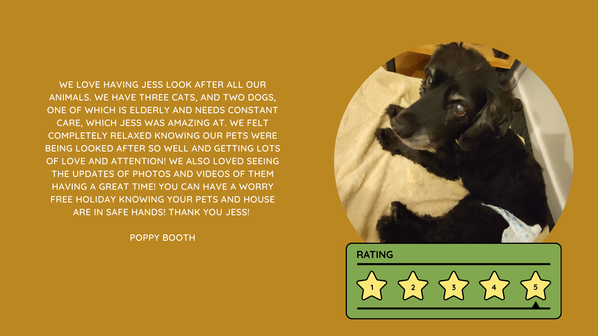 Pet Sitting Services in Saltash. Pet Sitting Services in Cornwall. Pet Sitting Services in Devon. Pet Sitting Services in Devon & Cornwall My Cornish Pet Companion provides trusted, professional pet sitting services and personalised pet care throughout Saltash, Cornwall, Devon and across Devon & Cornwall. Whether you need a reliable pet sitter while you're away, ongoing pet care, or someone you can trust to look after your much-loved companion, I provide dedicated, individual care designed around you and your pet. Pet Chaperone Services in Saltash. Pet Chaperone Services in Cornwall. Pet Chaperone Services in Devon. Pet Chaperone Services in Devon & Cornwall My Cornish Pet Chaperone provides professional, personalised pet chaperone services throughout Saltash, Cornwall, Devon and across Devon & Cornwall. From wedding pet chaperone services to special events, celebrations and important life events, I make sure your pet can be part of those special moments while remaining safe, happy, comfortable and completely cared for. Pet Doula Services in Saltash. Pet Doula Services in Cornwall. Pet Doula Services in Devon. Pet Doula Services in Devon & Cornwall My Cornish Pet Doula provides compassionate pet doula services and pet and animal end-of-life support throughout Saltash, Cornwall, Devon and across Devon & Cornwall. When the time comes to say goodbye to a much-loved family pet, I offer gentle, practical and emotional support, helping you navigate difficult decisions and ensuring both you and your companion are supported with care, understanding and compassion. MY CORNISH PET COMPANION REVIEWS. JESS RIGGS PET SITTER. BEST PET SITTER CORNWALL. BEST PET SITTER DEVON. BEST PET SITTER SALTASH. TRUSTED PET SITTER CORNWALL. RECOMMENDED PET SITTER DEVON. PROFESSIONAL PET CARE CORNWALL AND DEVON. My Cornish Pet Companion, run by Jess Riggs and based in Saltash, Cornwall, provides professional, trusted, reliable and compassionate pet care services throughout Cornwall and Devon. Read our client reviews and testimonials and discover why pet owners choose Jess Riggs and My Cornish Pet Companion for professional pet sitting, dog sitting, cat sitting, house sitting, house and pet sitting, wedding pet chaperone services, senior pet support, pet doula services and compassionate pet end-of-life support across Saltash, Cornwall and Devon. Looking for the BEST PET SITTER IN CORNWALL, BEST PET SITTER IN DEVON, BEST PET SITTER IN SALTASH, TRUSTED PET SITTER CORNWALL, TRUSTED PET SITTER DEVON, RECOMMENDED PET SITTER CORNWALL, RECOMMENDED PET SITTER DEVON, PROFESSIONAL PET SITTER CORNWALL, PROFESSIONAL PET SITTER DEVON, RELIABLE PET SITTER CORNWALL, RELIABLE PET SITTER DEVON or LOCAL PET SITTER SALTASH? My Cornish Pet Companion provides personalised professional pet care from Jess Riggs, with genuine client reviews and testimonials giving prospective customers an insight into the personal, dependable and compassionate service provided to pets and their people. BEST PET SITTER NEAR ME. TRUSTED PET SITTER NEAR ME. RECOMMENDED PET SITTER NEAR ME. RELIABLE PET SITTER NEAR ME. EXPERIENCED PET SITTER NEAR ME. PROFESSIONAL PET SITTER NEAR ME. LOCAL PET SITTER NEAR ME. For pet owners throughout Cornwall and Devon, Jess Riggs of My Cornish Pet Companion provides an experienced, highly personal pet sitting service designed around each individual animal, home and family. Our pet sitting reviews come from owners who have trusted Jess Riggs and My Cornish Pet Companion with their beloved animals and homes. From dog sitting and cat sitting to in-home pet sitting, holiday pet care, house sitting, wedding pet chaperoning and sensitive pet doula support, client testimonials provide an insight into the dedicated, compassionate and individual approach at the heart of My Cornish Pet Companion. PET SITTER CORNWALL REVIEWS. PET SITTER DEVON REVIEWS. PET SITTER SALTASH REVIEWS. PET SITTING CORNWALL REVIEWS. PET SITTING DEVON REVIEWS. DOG SITTER CORNWALL REVIEWS. DOG SITTER DEVON REVIEWS. CAT SITTER CORNWALL REVIEWS. CAT SITTER DEVON REVIEWS. MY CORNISH PET COMPANION REVIEWS. JESS RIGGS REVIEWS. Discover genuine feedback from clients who have chosen My Cornish Pet Companion for professional pet care throughout Cornwall and Devon. For owners looking for the BEST TRUSTED PET SITTER IN CORNWALL, BEST TRUSTED PET SITTER IN DEVON, BEST PET SITTER IN CORNWALL FOR DOGS AND CATS, BEST PET SITTER IN DEVON FOR DOGS AND CATS, RELIABLE PET SITTER IN CORNWALL FOR HOLIDAYS, TRUSTED PET SITTER IN DEVON FOR HOLIDAY PET CARE, EXPERIENCED PET SITTER IN SALTASH, PROFESSIONAL IN-HOME PET SITTER IN CORNWALL or RECOMMENDED PET SITTER IN DEVON FOR PETS STAYING AT HOME, Jess Riggs provides attentive and personalised care through My Cornish Pet Companion. Need a TRUSTWORTHY PET SITTER TO LOOK AFTER MY DOG WHILE I'M AWAY, SOMEONE TO LOOK AFTER MY CAT AT HOME WHILE I'M ON HOLIDAY, RELIABLE PET SITTER WHO COMES TO MY HOME IN CORNWALL, TRUSTED PET SITTER WHO COMES TO MY HOME IN DEVON, PROFESSIONAL PET SITTER FOR HOLIDAYS IN CORNWALL or EXPERIENCED PET SITTER FOR HOLIDAYS IN DEVON? My Cornish Pet Companion provides professional in-home pet sitting that allows animals to remain in their familiar home environment while receiving dedicated care and companionship from Jess Riggs. WHO IS THE BEST PET SITTER IN CORNWALL? WHO IS THE BEST PET SITTER IN DEVON? WHO IS THE BEST PET SITTER IN SALTASH? WHERE CAN I FIND A TRUSTED PET SITTER IN CORNWALL? WHERE CAN I FIND A RELIABLE PET SITTER IN DEVON? WHO IS A RECOMMENDED PET SITTER IN SALTASH? WHERE CAN I FIND A GOOD PET SITTER NEAR ME? Client reviews of My Cornish Pet Companion provide valuable first-hand experiences from people who have trusted Jess Riggs to care for their animals, homes and treasured companions. BEST DOG SITTER CORNWALL. BEST DOG SITTER DEVON. BEST DOG SITTER SALTASH. TRUSTED DOG SITTER CORNWALL. TRUSTED DOG SITTER DEVON. RECOMMENDED DOG SITTER CORNWALL. RELIABLE DOG SITTER DEVON. PROFESSIONAL DOG SITTER NEAR ME. Jess Riggs provides individual dog sitting and professional pet care through My Cornish Pet Companion, giving owners the reassurance of knowing their dogs can be cared for around their individual personalities, needs and established routines. BEST CAT SITTER CORNWALL. BEST CAT SITTER DEVON. BEST CAT SITTER SALTASH. TRUSTED CAT SITTER CORNWALL. TRUSTED CAT SITTER DEVON. RECOMMENDED CAT SITTER CORNWALL. RELIABLE CAT SITTER DEVON. PROFESSIONAL CAT SITTER NEAR ME. My Cornish Pet Companion provides personalised cat sitting and home pet care, allowing cats to remain within the security and familiarity of their own surroundings rather than having to move into an unfamiliar boarding environment. For owners planning a holiday, weekend away or business trip, My Cornish Pet Companion offers professional HOLIDAY PET SITTING IN CORNWALL, HOLIDAY PET SITTING IN DEVON, HOLIDAY PET SITTING IN SALTASH, IN-HOME PET SITTING CORNWALL, IN-HOME PET SITTING DEVON and professional pet care tailored around your individual requirements. Jess Riggs provides a personal and dependable alternative for owners looking for a TRUSTED HOLIDAY PET SITTER NEAR ME, RELIABLE HOLIDAY PET SITTER CORNWALL, RECOMMENDED HOLIDAY PET SITTER DEVON or EXPERIENCED PET SITTER TO CARE FOR PETS AT HOME WHILE I'M AWAY. My Cornish Pet Companion also provides professional HOUSE SITTING IN CORNWALL, HOUSE SITTING IN DEVON, HOUSE SITTING IN SALTASH and combined HOUSE AND PET SITTING SERVICES throughout Cornwall and Devon. Client reviews and testimonials help homeowners discover more about the service provided by Jess Riggs when they need someone they can trust with both their property and their beloved animals. BEST HOUSE SITTER CORNWALL. BEST HOUSE SITTER DEVON. BEST HOUSE SITTER SALTASH. TRUSTED HOUSE SITTER CORNWALL. TRUSTED HOUSE SITTER DEVON. RECOMMENDED HOUSE SITTER CORNWALL. RELIABLE HOUSE SITTER DEVON. PROFESSIONAL HOUSE SITTER NEAR ME. HOUSE SITTER CORNWALL REVIEWS. HOUSE SITTER DEVON REVIEWS. My Cornish Pet Companion provides professional house sitting centred around trust, reliability, respect, communication and careful attention to each client's home. BEST HOUSE AND PET SITTER CORNWALL. BEST HOUSE AND PET SITTER DEVON. TRUSTED HOUSE AND PET SITTER CORNWALL. TRUSTED HOUSE AND PET SITTER DEVON. RECOMMENDED HOUSE AND PET SITTER NEAR ME. RELIABLE HOUSE SITTER WITH PET CARE CORNWALL. PROFESSIONAL HOUSE AND PET SITTING SERVICES DEVON. For households with pets who are happiest remaining at home, Jess Riggs can combine professional house sitting with personalised pet sitting, helping owners arrange care for their property and animals together. Need a TRUSTWORTHY PERSON TO LOOK AFTER MY HOUSE AND PETS WHILE I'M AWAY, PROFESSIONAL HOUSE SITTER WHO ALSO LOOKS AFTER PETS, RELIABLE HOUSE AND PET SITTER FOR HOLIDAYS IN CORNWALL, TRUSTED HOUSE AND DOG SITTER IN DEVON or RECOMMENDED HOUSE AND PET SITTER NEAR SALTASH? My Cornish Pet Companion offers personal, professional and dependable house and pet sitting throughout Cornwall and Devon. Our reviews and testimonials also showcase experiences of My Cornish Pet Companion's professional WEDDING PET CHAPERONE SERVICES IN CORNWALL AND DEVON. Jess Riggs helps couples include beloved dogs and other pets in their wedding celebrations while ensuring their animal has a dedicated person responsible for their care, comfort and supervision. BEST WEDDING PET CHAPERONE CORNWALL. BEST WEDDING PET CHAPERONE DEVON. BEST WEDDING DOG CHAPERONE CORNWALL. BEST WEDDING DOG CHAPERONE DEVON. RECOMMENDED WEDDING PET CHAPERONE CORNWALL. TRUSTED WEDDING PET CHAPERONE DEVON. WEDDING PET CHAPERONE REVIEWS. DOG WEDDING CHAPERONE REVIEWS. WEDDING DOG SITTER NEAR ME. PET CHAPERONE NEAR ME. My Cornish Pet Companion provides professional wedding pet care throughout Cornwall and Devon. Planning a DOG-FRIENDLY WEDDING IN CORNWALL or DOG-FRIENDLY WEDDING IN DEVON? Looking for a PROFESSIONAL WEDDING PET CHAPERONE NEAR ME, SOMEONE TO LOOK AFTER MY DOG AT MY WEDDING IN CORNWALL, SOMEONE TO BRING MY DOG TO MY WEDDING IN DEVON, DOG CHAPERONE FOR WEDDING PHOTOS, WEDDING DOG SITTER CORNWALL or TRUSTED PERSON TO LOOK AFTER MY DOG DURING MY WEDDING? Jess Riggs and My Cornish Pet Companion provide dedicated pet chaperoning designed around your wedding plans and your pet's individual needs. My Cornish Pet Companion also provides compassionate PET DOULA SERVICES IN CORNWALL, PET DOULA SERVICES IN DEVON and PET DOULA SERVICES IN SALTASH. Jess Riggs provides sensitive non-veterinary support for pets and their families during the later stages of life, complementing the professional medical care and guidance provided by the pet's veterinary team. RECOMMENDED PET DOULA CORNWALL. RECOMMENDED PET DOULA DEVON. TRUSTED PET DOULA CORNWALL. TRUSTED PET DOULA DEVON. PET DOULA SALTASH. PET DOULA NEAR ME. PET DOULA CORNWALL REVIEWS. PET DOULA DEVON REVIEWS. PET END-OF-LIFE SUPPORT CORNWALL. PET END-OF-LIFE SUPPORT DEVON. SENIOR PET SUPPORT CORNWALL. SENIOR PET SUPPORT DEVON. PALLIATIVE PET SUPPORT CORNWALL. COMPASSIONATE PET END-OF-LIFE SUPPORT NEAR ME. For families looking for COMPASSIONATE PET END-OF-LIFE SUPPORT IN CORNWALL, PET DOULA FOR AN ELDERLY DOG IN DEVON, SUPPORT FOR OWNERS OF SENIOR PETS IN CORNWALL, SENIOR DOG SUPPORT IN DEVON, NON-VETERINARY END-OF-LIFE PET SUPPORT NEAR ME, COMPASSIONATE SUPPORT WHEN MY DOG IS NEARING THE END OF LIFE or PROFESSIONAL PET DOULA SERVICES IN CORNWALL AND DEVON, My Cornish Pet Companion offers understanding, personal and sensitive support from Jess Riggs. TOP PET SITTER CORNWALL. TOP PET SITTER DEVON. HIGHLY RECOMMENDED PET SITTER CORNWALL. HIGHLY RECOMMENDED PET SITTER DEVON. EXPERIENCED PET SITTER CORNWALL. EXPERIENCED PET SITTER DEVON. TRUSTWORTHY PET SITTER CORNWALL. TRUSTWORTHY PET SITTER DEVON. LOCAL PET CARE CORNWALL. LOCAL PET CARE DEVON. PROFESSIONAL PET SERVICES CORNWALL. PROFESSIONAL PET SERVICES DEVON. BEST PET CARE CORNWALL. BEST PET CARE DEVON. BEST PET CARE SALTASH. Whether you need someone to care for your dog while you're on holiday, a trusted cat sitter who can care for your cat at home, a professional pet sitter who comes to your home, a reliable house sitter while you're away, someone to look after your home and pets together, a wedding dog chaperone to help your dog attend your special day or compassionate support during the later stages of your pet's life, My Cornish Pet Companion reviews and testimonials provide genuine insight into the personal service offered by Jess Riggs. PET SITTING NEAR ME. PET SITTER NEAR ME. BEST PET SITTER NEAR ME. TOP-RATED PET SITTER NEAR ME. RECOMMENDED PET SITTER NEAR ME. TRUSTED PET SITTER NEAR ME. RELIABLE PET SITTER NEAR ME. PROFESSIONAL PET SITTER NEAR ME. EXPERIENCED PET SITTER NEAR ME. DOG SITTER NEAR ME. CAT SITTER NEAR ME. HOUSE SITTER NEAR ME. HOUSE AND PET SITTER NEAR ME. HOLIDAY PET SITTER NEAR ME. WEDDING PET CHAPERONE NEAR ME. DOG WEDDING CHAPERONE NEAR ME. PET DOULA NEAR ME. PET END-OF-LIFE SUPPORT NEAR ME. JESS RIGGS – MY CORNISH PET COMPANION – SALTASH, CORNWALL. Professional pet sitting and trusted pet care throughout Cornwall and Devon. Pet sitting. Dog sitting. Cat sitting. Holiday pet sitting. In-home pet care. House sitting. House and pet sitting. Wedding pet chaperoning. Wedding dog chaperone services. Senior pet support. Pet doula services. Compassionate pet end-of-life support. Read My Cornish Pet Companion reviews and client testimonials and discover more about the trusted, professional and personalised pet care provided by Jess Riggs throughout Saltash, Cornwall and Devon. From everyday pet sitting and holiday pet care to house sitting, weddings and the most sensitive stages of a beloved animal's life, My Cornish Pet Companion provides compassionate, reliable and individual support for pets and the people who love them.