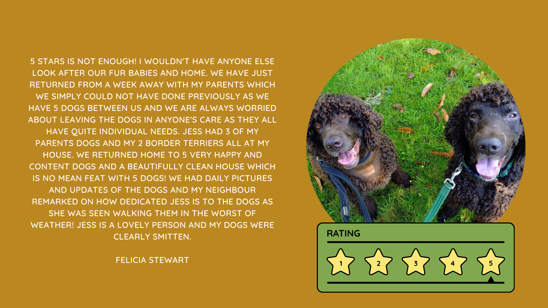 Pet Sitting Services in Saltash. Pet Sitting Services in Cornwall. Pet Sitting Services in Devon. Pet Sitting Services in Devon & Cornwall My Cornish Pet Companion provides trusted, professional pet sitting services and personalised pet care throughout Saltash, Cornwall, Devon and across Devon & Cornwall. Whether you need a reliable pet sitter while you're away, ongoing pet care, or someone you can trust to look after your much-loved companion, I provide dedicated, individual care designed around you and your pet. Pet Chaperone Services in Saltash. Pet Chaperone Services in Cornwall. Pet Chaperone Services in Devon. Pet Chaperone Services in Devon & Cornwall My Cornish Pet Chaperone provides professional, personalised pet chaperone services throughout Saltash, Cornwall, Devon and across Devon & Cornwall. From wedding pet chaperone services to special events, celebrations and important life events, I make sure your pet can be part of those special moments while remaining safe, happy, comfortable and completely cared for. Pet Doula Services in Saltash. Pet Doula Services in Cornwall. Pet Doula Services in Devon. Pet Doula Services in Devon & Cornwall My Cornish Pet Doula provides compassionate pet doula services and pet and animal end-of-life support throughout Saltash, Cornwall, Devon and across Devon & Cornwall. When the time comes to say goodbye to a much-loved family pet, I offer gentle, practical and emotional support, helping you navigate difficult decisions and ensuring both you and your companion are supported with care, understanding and compassion. MY CORNISH PET COMPANION REVIEWS. JESS RIGGS PET SITTER. BEST PET SITTER CORNWALL. BEST PET SITTER DEVON. BEST PET SITTER SALTASH. TRUSTED PET SITTER CORNWALL. RECOMMENDED PET SITTER DEVON. PROFESSIONAL PET CARE CORNWALL AND DEVON. My Cornish Pet Companion, run by Jess Riggs and based in Saltash, Cornwall, provides professional, trusted, reliable and compassionate pet care services throughout Cornwall and Devon. Read our client reviews and testimonials and discover why pet owners choose Jess Riggs and My Cornish Pet Companion for professional pet sitting, dog sitting, cat sitting, house sitting, house and pet sitting, wedding pet chaperone services, senior pet support, pet doula services and compassionate pet end-of-life support across Saltash, Cornwall and Devon. Looking for the BEST PET SITTER IN CORNWALL, BEST PET SITTER IN DEVON, BEST PET SITTER IN SALTASH, TRUSTED PET SITTER CORNWALL, TRUSTED PET SITTER DEVON, RECOMMENDED PET SITTER CORNWALL, RECOMMENDED PET SITTER DEVON, PROFESSIONAL PET SITTER CORNWALL, PROFESSIONAL PET SITTER DEVON, RELIABLE PET SITTER CORNWALL, RELIABLE PET SITTER DEVON or LOCAL PET SITTER SALTASH? My Cornish Pet Companion provides personalised professional pet care from Jess Riggs, with genuine client reviews and testimonials giving prospective customers an insight into the personal, dependable and compassionate service provided to pets and their people. BEST PET SITTER NEAR ME. TRUSTED PET SITTER NEAR ME. RECOMMENDED PET SITTER NEAR ME. RELIABLE PET SITTER NEAR ME. EXPERIENCED PET SITTER NEAR ME. PROFESSIONAL PET SITTER NEAR ME. LOCAL PET SITTER NEAR ME. For pet owners throughout Cornwall and Devon, Jess Riggs of My Cornish Pet Companion provides an experienced, highly personal pet sitting service designed around each individual animal, home and family. Our pet sitting reviews come from owners who have trusted Jess Riggs and My Cornish Pet Companion with their beloved animals and homes. From dog sitting and cat sitting to in-home pet sitting, holiday pet care, house sitting, wedding pet chaperoning and sensitive pet doula support, client testimonials provide an insight into the dedicated, compassionate and individual approach at the heart of My Cornish Pet Companion. PET SITTER CORNWALL REVIEWS. PET SITTER DEVON REVIEWS. PET SITTER SALTASH REVIEWS. PET SITTING CORNWALL REVIEWS. PET SITTING DEVON REVIEWS. DOG SITTER CORNWALL REVIEWS. DOG SITTER DEVON REVIEWS. CAT SITTER CORNWALL REVIEWS. CAT SITTER DEVON REVIEWS. MY CORNISH PET COMPANION REVIEWS. JESS RIGGS REVIEWS. Discover genuine feedback from clients who have chosen My Cornish Pet Companion for professional pet care throughout Cornwall and Devon. For owners looking for the BEST TRUSTED PET SITTER IN CORNWALL, BEST TRUSTED PET SITTER IN DEVON, BEST PET SITTER IN CORNWALL FOR DOGS AND CATS, BEST PET SITTER IN DEVON FOR DOGS AND CATS, RELIABLE PET SITTER IN CORNWALL FOR HOLIDAYS, TRUSTED PET SITTER IN DEVON FOR HOLIDAY PET CARE, EXPERIENCED PET SITTER IN SALTASH, PROFESSIONAL IN-HOME PET SITTER IN CORNWALL or RECOMMENDED PET SITTER IN DEVON FOR PETS STAYING AT HOME, Jess Riggs provides attentive and personalised care through My Cornish Pet Companion. Need a TRUSTWORTHY PET SITTER TO LOOK AFTER MY DOG WHILE I'M AWAY, SOMEONE TO LOOK AFTER MY CAT AT HOME WHILE I'M ON HOLIDAY, RELIABLE PET SITTER WHO COMES TO MY HOME IN CORNWALL, TRUSTED PET SITTER WHO COMES TO MY HOME IN DEVON, PROFESSIONAL PET SITTER FOR HOLIDAYS IN CORNWALL or EXPERIENCED PET SITTER FOR HOLIDAYS IN DEVON? My Cornish Pet Companion provides professional in-home pet sitting that allows animals to remain in their familiar home environment while receiving dedicated care and companionship from Jess Riggs. WHO IS THE BEST PET SITTER IN CORNWALL? WHO IS THE BEST PET SITTER IN DEVON? WHO IS THE BEST PET SITTER IN SALTASH? WHERE CAN I FIND A TRUSTED PET SITTER IN CORNWALL? WHERE CAN I FIND A RELIABLE PET SITTER IN DEVON? WHO IS A RECOMMENDED PET SITTER IN SALTASH? WHERE CAN I FIND A GOOD PET SITTER NEAR ME? Client reviews of My Cornish Pet Companion provide valuable first-hand experiences from people who have trusted Jess Riggs to care for their animals, homes and treasured companions. BEST DOG SITTER CORNWALL. BEST DOG SITTER DEVON. BEST DOG SITTER SALTASH. TRUSTED DOG SITTER CORNWALL. TRUSTED DOG SITTER DEVON. RECOMMENDED DOG SITTER CORNWALL. RELIABLE DOG SITTER DEVON. PROFESSIONAL DOG SITTER NEAR ME. Jess Riggs provides individual dog sitting and professional pet care through My Cornish Pet Companion, giving owners the reassurance of knowing their dogs can be cared for around their individual personalities, needs and established routines. BEST CAT SITTER CORNWALL. BEST CAT SITTER DEVON. BEST CAT SITTER SALTASH. TRUSTED CAT SITTER CORNWALL. TRUSTED CAT SITTER DEVON. RECOMMENDED CAT SITTER CORNWALL. RELIABLE CAT SITTER DEVON. PROFESSIONAL CAT SITTER NEAR ME. My Cornish Pet Companion provides personalised cat sitting and home pet care, allowing cats to remain within the security and familiarity of their own surroundings rather than having to move into an unfamiliar boarding environment. For owners planning a holiday, weekend away or business trip, My Cornish Pet Companion offers professional HOLIDAY PET SITTING IN CORNWALL, HOLIDAY PET SITTING IN DEVON, HOLIDAY PET SITTING IN SALTASH, IN-HOME PET SITTING CORNWALL, IN-HOME PET SITTING DEVON and professional pet care tailored around your individual requirements. Jess Riggs provides a personal and dependable alternative for owners looking for a TRUSTED HOLIDAY PET SITTER NEAR ME, RELIABLE HOLIDAY PET SITTER CORNWALL, RECOMMENDED HOLIDAY PET SITTER DEVON or EXPERIENCED PET SITTER TO CARE FOR PETS AT HOME WHILE I'M AWAY. My Cornish Pet Companion also provides professional HOUSE SITTING IN CORNWALL, HOUSE SITTING IN DEVON, HOUSE SITTING IN SALTASH and combined HOUSE AND PET SITTING SERVICES throughout Cornwall and Devon. Client reviews and testimonials help homeowners discover more about the service provided by Jess Riggs when they need someone they can trust with both their property and their beloved animals. BEST HOUSE SITTER CORNWALL. BEST HOUSE SITTER DEVON. BEST HOUSE SITTER SALTASH. TRUSTED HOUSE SITTER CORNWALL. TRUSTED HOUSE SITTER DEVON. RECOMMENDED HOUSE SITTER CORNWALL. RELIABLE HOUSE SITTER DEVON. PROFESSIONAL HOUSE SITTER NEAR ME. HOUSE SITTER CORNWALL REVIEWS. HOUSE SITTER DEVON REVIEWS. My Cornish Pet Companion provides professional house sitting centred around trust, reliability, respect, communication and careful attention to each client's home. BEST HOUSE AND PET SITTER CORNWALL. BEST HOUSE AND PET SITTER DEVON. TRUSTED HOUSE AND PET SITTER CORNWALL. TRUSTED HOUSE AND PET SITTER DEVON. RECOMMENDED HOUSE AND PET SITTER NEAR ME. RELIABLE HOUSE SITTER WITH PET CARE CORNWALL. PROFESSIONAL HOUSE AND PET SITTING SERVICES DEVON. For households with pets who are happiest remaining at home, Jess Riggs can combine professional house sitting with personalised pet sitting, helping owners arrange care for their property and animals together. Need a TRUSTWORTHY PERSON TO LOOK AFTER MY HOUSE AND PETS WHILE I'M AWAY, PROFESSIONAL HOUSE SITTER WHO ALSO LOOKS AFTER PETS, RELIABLE HOUSE AND PET SITTER FOR HOLIDAYS IN CORNWALL, TRUSTED HOUSE AND DOG SITTER IN DEVON or RECOMMENDED HOUSE AND PET SITTER NEAR SALTASH? My Cornish Pet Companion offers personal, professional and dependable house and pet sitting throughout Cornwall and Devon. Our reviews and testimonials also showcase experiences of My Cornish Pet Companion's professional WEDDING PET CHAPERONE SERVICES IN CORNWALL AND DEVON. Jess Riggs helps couples include beloved dogs and other pets in their wedding celebrations while ensuring their animal has a dedicated person responsible for their care, comfort and supervision. BEST WEDDING PET CHAPERONE CORNWALL. BEST WEDDING PET CHAPERONE DEVON. BEST WEDDING DOG CHAPERONE CORNWALL. BEST WEDDING DOG CHAPERONE DEVON. RECOMMENDED WEDDING PET CHAPERONE CORNWALL. TRUSTED WEDDING PET CHAPERONE DEVON. WEDDING PET CHAPERONE REVIEWS. DOG WEDDING CHAPERONE REVIEWS. WEDDING DOG SITTER NEAR ME. PET CHAPERONE NEAR ME. My Cornish Pet Companion provides professional wedding pet care throughout Cornwall and Devon. Planning a DOG-FRIENDLY WEDDING IN CORNWALL or DOG-FRIENDLY WEDDING IN DEVON? Looking for a PROFESSIONAL WEDDING PET CHAPERONE NEAR ME, SOMEONE TO LOOK AFTER MY DOG AT MY WEDDING IN CORNWALL, SOMEONE TO BRING MY DOG TO MY WEDDING IN DEVON, DOG CHAPERONE FOR WEDDING PHOTOS, WEDDING DOG SITTER CORNWALL or TRUSTED PERSON TO LOOK AFTER MY DOG DURING MY WEDDING? Jess Riggs and My Cornish Pet Companion provide dedicated pet chaperoning designed around your wedding plans and your pet's individual needs. My Cornish Pet Companion also provides compassionate PET DOULA SERVICES IN CORNWALL, PET DOULA SERVICES IN DEVON and PET DOULA SERVICES IN SALTASH. Jess Riggs provides sensitive non-veterinary support for pets and their families during the later stages of life, complementing the professional medical care and guidance provided by the pet's veterinary team. RECOMMENDED PET DOULA CORNWALL. RECOMMENDED PET DOULA DEVON. TRUSTED PET DOULA CORNWALL. TRUSTED PET DOULA DEVON. PET DOULA SALTASH. PET DOULA NEAR ME. PET DOULA CORNWALL REVIEWS. PET DOULA DEVON REVIEWS. PET END-OF-LIFE SUPPORT CORNWALL. PET END-OF-LIFE SUPPORT DEVON. SENIOR PET SUPPORT CORNWALL. SENIOR PET SUPPORT DEVON. PALLIATIVE PET SUPPORT CORNWALL. COMPASSIONATE PET END-OF-LIFE SUPPORT NEAR ME. For families looking for COMPASSIONATE PET END-OF-LIFE SUPPORT IN CORNWALL, PET DOULA FOR AN ELDERLY DOG IN DEVON, SUPPORT FOR OWNERS OF SENIOR PETS IN CORNWALL, SENIOR DOG SUPPORT IN DEVON, NON-VETERINARY END-OF-LIFE PET SUPPORT NEAR ME, COMPASSIONATE SUPPORT WHEN MY DOG IS NEARING THE END OF LIFE or PROFESSIONAL PET DOULA SERVICES IN CORNWALL AND DEVON, My Cornish Pet Companion offers understanding, personal and sensitive support from Jess Riggs. TOP PET SITTER CORNWALL. TOP PET SITTER DEVON. HIGHLY RECOMMENDED PET SITTER CORNWALL. HIGHLY RECOMMENDED PET SITTER DEVON. EXPERIENCED PET SITTER CORNWALL. EXPERIENCED PET SITTER DEVON. TRUSTWORTHY PET SITTER CORNWALL. TRUSTWORTHY PET SITTER DEVON. LOCAL PET CARE CORNWALL. LOCAL PET CARE DEVON. PROFESSIONAL PET SERVICES CORNWALL. PROFESSIONAL PET SERVICES DEVON. BEST PET CARE CORNWALL. BEST PET CARE DEVON. BEST PET CARE SALTASH. Whether you need someone to care for your dog while you're on holiday, a trusted cat sitter who can care for your cat at home, a professional pet sitter who comes to your home, a reliable house sitter while you're away, someone to look after your home and pets together, a wedding dog chaperone to help your dog attend your special day or compassionate support during the later stages of your pet's life, My Cornish Pet Companion reviews and testimonials provide genuine insight into the personal service offered by Jess Riggs. PET SITTING NEAR ME. PET SITTER NEAR ME. BEST PET SITTER NEAR ME. TOP-RATED PET SITTER NEAR ME. RECOMMENDED PET SITTER NEAR ME. TRUSTED PET SITTER NEAR ME. RELIABLE PET SITTER NEAR ME. PROFESSIONAL PET SITTER NEAR ME. EXPERIENCED PET SITTER NEAR ME. DOG SITTER NEAR ME. CAT SITTER NEAR ME. HOUSE SITTER NEAR ME. HOUSE AND PET SITTER NEAR ME. HOLIDAY PET SITTER NEAR ME. WEDDING PET CHAPERONE NEAR ME. DOG WEDDING CHAPERONE NEAR ME. PET DOULA NEAR ME. PET END-OF-LIFE SUPPORT NEAR ME. JESS RIGGS – MY CORNISH PET COMPANION – SALTASH, CORNWALL. Professional pet sitting and trusted pet care throughout Cornwall and Devon. Pet sitting. Dog sitting. Cat sitting. Holiday pet sitting. In-home pet care. House sitting. House and pet sitting. Wedding pet chaperoning. Wedding dog chaperone services. Senior pet support. Pet doula services. Compassionate pet end-of-life support. Read My Cornish Pet Companion reviews and client testimonials and discover more about the trusted, professional and personalised pet care provided by Jess Riggs throughout Saltash, Cornwall and Devon. From everyday pet sitting and holiday pet care to house sitting, weddings and the most sensitive stages of a beloved animal's life, My Cornish Pet Companion provides compassionate, reliable and individual support for pets and the people who love them.