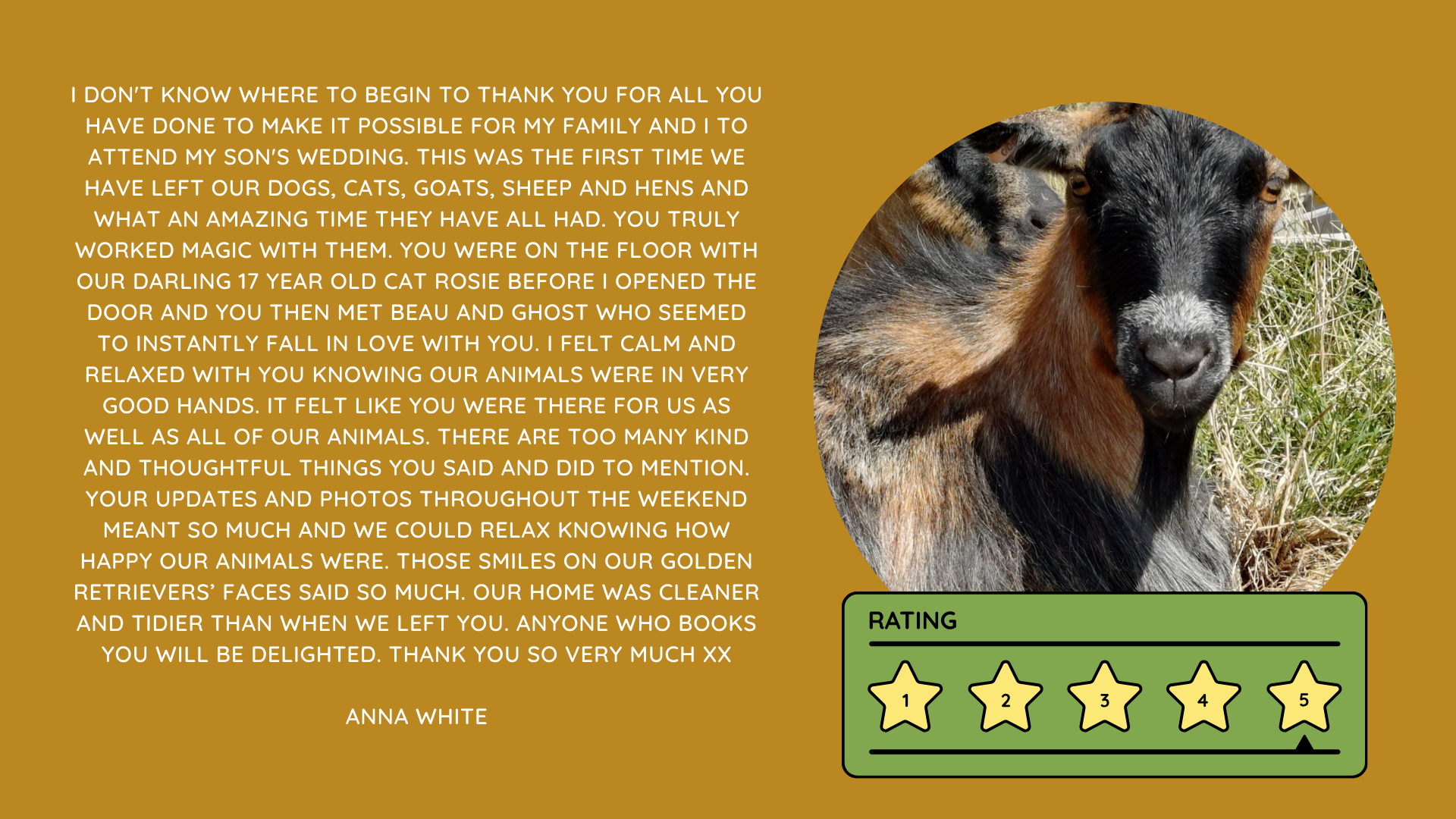Pet Sitting Services in Saltash. Pet Sitting Services in Cornwall. Pet Sitting Services in Devon. Pet Sitting Services in Devon & Cornwall My Cornish Pet Companion provides trusted, professional pet sitting services and personalised pet care throughout Saltash, Cornwall, Devon and across Devon & Cornwall. Whether you need a reliable pet sitter while you're away, ongoing pet care, or someone you can trust to look after your much-loved companion, I provide dedicated, individual care designed around you and your pet. Pet Chaperone Services in Saltash. Pet Chaperone Services in Cornwall. Pet Chaperone Services in Devon. Pet Chaperone Services in Devon & Cornwall My Cornish Pet Chaperone provides professional, personalised pet chaperone services throughout Saltash, Cornwall, Devon and across Devon & Cornwall. From wedding pet chaperone services to special events, celebrations and important life events, I make sure your pet can be part of those special moments while remaining safe, happy, comfortable and completely cared for. Pet Doula Services in Saltash. Pet Doula Services in Cornwall. Pet Doula Services in Devon. Pet Doula Services in Devon & Cornwall My Cornish Pet Doula provides compassionate pet doula services and pet and animal end-of-life support throughout Saltash, Cornwall, Devon and across Devon & Cornwall. When the time comes to say goodbye to a much-loved family pet, I offer gentle, practical and emotional support, helping you navigate difficult decisions and ensuring both you and your companion are supported with care, understanding and compassion. MY CORNISH PET COMPANION REVIEWS. JESS RIGGS PET SITTER. BEST PET SITTER CORNWALL. BEST PET SITTER DEVON. BEST PET SITTER SALTASH. TRUSTED PET SITTER CORNWALL. RECOMMENDED PET SITTER DEVON. PROFESSIONAL PET CARE CORNWALL AND DEVON. My Cornish Pet Companion, run by Jess Riggs and based in Saltash, Cornwall, provides professional, trusted, reliable and compassionate pet care services throughout Cornwall and Devon. Read our client reviews and testimonials and discover why pet owners choose Jess Riggs and My Cornish Pet Companion for professional pet sitting, dog sitting, cat sitting, house sitting, house and pet sitting, wedding pet chaperone services, senior pet support, pet doula services and compassionate pet end-of-life support across Saltash, Cornwall and Devon. Looking for the BEST PET SITTER IN CORNWALL, BEST PET SITTER IN DEVON, BEST PET SITTER IN SALTASH, TRUSTED PET SITTER CORNWALL, TRUSTED PET SITTER DEVON, RECOMMENDED PET SITTER CORNWALL, RECOMMENDED PET SITTER DEVON, PROFESSIONAL PET SITTER CORNWALL, PROFESSIONAL PET SITTER DEVON, RELIABLE PET SITTER CORNWALL, RELIABLE PET SITTER DEVON or LOCAL PET SITTER SALTASH? My Cornish Pet Companion provides personalised professional pet care from Jess Riggs, with genuine client reviews and testimonials giving prospective customers an insight into the personal, dependable and compassionate service provided to pets and their people. BEST PET SITTER NEAR ME. TRUSTED PET SITTER NEAR ME. RECOMMENDED PET SITTER NEAR ME. RELIABLE PET SITTER NEAR ME. EXPERIENCED PET SITTER NEAR ME. PROFESSIONAL PET SITTER NEAR ME. LOCAL PET SITTER NEAR ME. For pet owners throughout Cornwall and Devon, Jess Riggs of My Cornish Pet Companion provides an experienced, highly personal pet sitting service designed around each individual animal, home and family. Our pet sitting reviews come from owners who have trusted Jess Riggs and My Cornish Pet Companion with their beloved animals and homes. From dog sitting and cat sitting to in-home pet sitting, holiday pet care, house sitting, wedding pet chaperoning and sensitive pet doula support, client testimonials provide an insight into the dedicated, compassionate and individual approach at the heart of My Cornish Pet Companion. PET SITTER CORNWALL REVIEWS. PET SITTER DEVON REVIEWS. PET SITTER SALTASH REVIEWS. PET SITTING CORNWALL REVIEWS. PET SITTING DEVON REVIEWS. DOG SITTER CORNWALL REVIEWS. DOG SITTER DEVON REVIEWS. CAT SITTER CORNWALL REVIEWS. CAT SITTER DEVON REVIEWS. MY CORNISH PET COMPANION REVIEWS. JESS RIGGS REVIEWS. Discover genuine feedback from clients who have chosen My Cornish Pet Companion for professional pet care throughout Cornwall and Devon. For owners looking for the BEST TRUSTED PET SITTER IN CORNWALL, BEST TRUSTED PET SITTER IN DEVON, BEST PET SITTER IN CORNWALL FOR DOGS AND CATS, BEST PET SITTER IN DEVON FOR DOGS AND CATS, RELIABLE PET SITTER IN CORNWALL FOR HOLIDAYS, TRUSTED PET SITTER IN DEVON FOR HOLIDAY PET CARE, EXPERIENCED PET SITTER IN SALTASH, PROFESSIONAL IN-HOME PET SITTER IN CORNWALL or RECOMMENDED PET SITTER IN DEVON FOR PETS STAYING AT HOME, Jess Riggs provides attentive and personalised care through My Cornish Pet Companion. Need a TRUSTWORTHY PET SITTER TO LOOK AFTER MY DOG WHILE I'M AWAY, SOMEONE TO LOOK AFTER MY CAT AT HOME WHILE I'M ON HOLIDAY, RELIABLE PET SITTER WHO COMES TO MY HOME IN CORNWALL, TRUSTED PET SITTER WHO COMES TO MY HOME IN DEVON, PROFESSIONAL PET SITTER FOR HOLIDAYS IN CORNWALL or EXPERIENCED PET SITTER FOR HOLIDAYS IN DEVON? My Cornish Pet Companion provides professional in-home pet sitting that allows animals to remain in their familiar home environment while receiving dedicated care and companionship from Jess Riggs. WHO IS THE BEST PET SITTER IN CORNWALL? WHO IS THE BEST PET SITTER IN DEVON? WHO IS THE BEST PET SITTER IN SALTASH? WHERE CAN I FIND A TRUSTED PET SITTER IN CORNWALL? WHERE CAN I FIND A RELIABLE PET SITTER IN DEVON? WHO IS A RECOMMENDED PET SITTER IN SALTASH? WHERE CAN I FIND A GOOD PET SITTER NEAR ME? Client reviews of My Cornish Pet Companion provide valuable first-hand experiences from people who have trusted Jess Riggs to care for their animals, homes and treasured companions. BEST DOG SITTER CORNWALL. BEST DOG SITTER DEVON. BEST DOG SITTER SALTASH. TRUSTED DOG SITTER CORNWALL. TRUSTED DOG SITTER DEVON. RECOMMENDED DOG SITTER CORNWALL. RELIABLE DOG SITTER DEVON. PROFESSIONAL DOG SITTER NEAR ME. Jess Riggs provides individual dog sitting and professional pet care through My Cornish Pet Companion, giving owners the reassurance of knowing their dogs can be cared for around their individual personalities, needs and established routines. BEST CAT SITTER CORNWALL. BEST CAT SITTER DEVON. BEST CAT SITTER SALTASH. TRUSTED CAT SITTER CORNWALL. TRUSTED CAT SITTER DEVON. RECOMMENDED CAT SITTER CORNWALL. RELIABLE CAT SITTER DEVON. PROFESSIONAL CAT SITTER NEAR ME. My Cornish Pet Companion provides personalised cat sitting and home pet care, allowing cats to remain within the security and familiarity of their own surroundings rather than having to move into an unfamiliar boarding environment. For owners planning a holiday, weekend away or business trip, My Cornish Pet Companion offers professional HOLIDAY PET SITTING IN CORNWALL, HOLIDAY PET SITTING IN DEVON, HOLIDAY PET SITTING IN SALTASH, IN-HOME PET SITTING CORNWALL, IN-HOME PET SITTING DEVON and professional pet care tailored around your individual requirements. Jess Riggs provides a personal and dependable alternative for owners looking for a TRUSTED HOLIDAY PET SITTER NEAR ME, RELIABLE HOLIDAY PET SITTER CORNWALL, RECOMMENDED HOLIDAY PET SITTER DEVON or EXPERIENCED PET SITTER TO CARE FOR PETS AT HOME WHILE I'M AWAY. My Cornish Pet Companion also provides professional HOUSE SITTING IN CORNWALL, HOUSE SITTING IN DEVON, HOUSE SITTING IN SALTASH and combined HOUSE AND PET SITTING SERVICES throughout Cornwall and Devon. Client reviews and testimonials help homeowners discover more about the service provided by Jess Riggs when they need someone they can trust with both their property and their beloved animals. BEST HOUSE SITTER CORNWALL. BEST HOUSE SITTER DEVON. BEST HOUSE SITTER SALTASH. TRUSTED HOUSE SITTER CORNWALL. TRUSTED HOUSE SITTER DEVON. RECOMMENDED HOUSE SITTER CORNWALL. RELIABLE HOUSE SITTER DEVON. PROFESSIONAL HOUSE SITTER NEAR ME. HOUSE SITTER CORNWALL REVIEWS. HOUSE SITTER DEVON REVIEWS. My Cornish Pet Companion provides professional house sitting centred around trust, reliability, respect, communication and careful attention to each client's home. BEST HOUSE AND PET SITTER CORNWALL. BEST HOUSE AND PET SITTER DEVON. TRUSTED HOUSE AND PET SITTER CORNWALL. TRUSTED HOUSE AND PET SITTER DEVON. RECOMMENDED HOUSE AND PET SITTER NEAR ME. RELIABLE HOUSE SITTER WITH PET CARE CORNWALL. PROFESSIONAL HOUSE AND PET SITTING SERVICES DEVON. For households with pets who are happiest remaining at home, Jess Riggs can combine professional house sitting with personalised pet sitting, helping owners arrange care for their property and animals together. Need a TRUSTWORTHY PERSON TO LOOK AFTER MY HOUSE AND PETS WHILE I'M AWAY, PROFESSIONAL HOUSE SITTER WHO ALSO LOOKS AFTER PETS, RELIABLE HOUSE AND PET SITTER FOR HOLIDAYS IN CORNWALL, TRUSTED HOUSE AND DOG SITTER IN DEVON or RECOMMENDED HOUSE AND PET SITTER NEAR SALTASH? My Cornish Pet Companion offers personal, professional and dependable house and pet sitting throughout Cornwall and Devon. Our reviews and testimonials also showcase experiences of My Cornish Pet Companion's professional WEDDING PET CHAPERONE SERVICES IN CORNWALL AND DEVON. Jess Riggs helps couples include beloved dogs and other pets in their wedding celebrations while ensuring their animal has a dedicated person responsible for their care, comfort and supervision. BEST WEDDING PET CHAPERONE CORNWALL. BEST WEDDING PET CHAPERONE DEVON. BEST WEDDING DOG CHAPERONE CORNWALL. BEST WEDDING DOG CHAPERONE DEVON. RECOMMENDED WEDDING PET CHAPERONE CORNWALL. TRUSTED WEDDING PET CHAPERONE DEVON. WEDDING PET CHAPERONE REVIEWS. DOG WEDDING CHAPERONE REVIEWS. WEDDING DOG SITTER NEAR ME. PET CHAPERONE NEAR ME. My Cornish Pet Companion provides professional wedding pet care throughout Cornwall and Devon. Planning a DOG-FRIENDLY WEDDING IN CORNWALL or DOG-FRIENDLY WEDDING IN DEVON? Looking for a PROFESSIONAL WEDDING PET CHAPERONE NEAR ME, SOMEONE TO LOOK AFTER MY DOG AT MY WEDDING IN CORNWALL, SOMEONE TO BRING MY DOG TO MY WEDDING IN DEVON, DOG CHAPERONE FOR WEDDING PHOTOS, WEDDING DOG SITTER CORNWALL or TRUSTED PERSON TO LOOK AFTER MY DOG DURING MY WEDDING? Jess Riggs and My Cornish Pet Companion provide dedicated pet chaperoning designed around your wedding plans and your pet's individual needs. My Cornish Pet Companion also provides compassionate PET DOULA SERVICES IN CORNWALL, PET DOULA SERVICES IN DEVON and PET DOULA SERVICES IN SALTASH. Jess Riggs provides sensitive non-veterinary support for pets and their families during the later stages of life, complementing the professional medical care and guidance provided by the pet's veterinary team. RECOMMENDED PET DOULA CORNWALL. RECOMMENDED PET DOULA DEVON. TRUSTED PET DOULA CORNWALL. TRUSTED PET DOULA DEVON. PET DOULA SALTASH. PET DOULA NEAR ME. PET DOULA CORNWALL REVIEWS. PET DOULA DEVON REVIEWS. PET END-OF-LIFE SUPPORT CORNWALL. PET END-OF-LIFE SUPPORT DEVON. SENIOR PET SUPPORT CORNWALL. SENIOR PET SUPPORT DEVON. PALLIATIVE PET SUPPORT CORNWALL. COMPASSIONATE PET END-OF-LIFE SUPPORT NEAR ME. For families looking for COMPASSIONATE PET END-OF-LIFE SUPPORT IN CORNWALL, PET DOULA FOR AN ELDERLY DOG IN DEVON, SUPPORT FOR OWNERS OF SENIOR PETS IN CORNWALL, SENIOR DOG SUPPORT IN DEVON, NON-VETERINARY END-OF-LIFE PET SUPPORT NEAR ME, COMPASSIONATE SUPPORT WHEN MY DOG IS NEARING THE END OF LIFE or PROFESSIONAL PET DOULA SERVICES IN CORNWALL AND DEVON, My Cornish Pet Companion offers understanding, personal and sensitive support from Jess Riggs. TOP PET SITTER CORNWALL. TOP PET SITTER DEVON. HIGHLY RECOMMENDED PET SITTER CORNWALL. HIGHLY RECOMMENDED PET SITTER DEVON. EXPERIENCED PET SITTER CORNWALL. EXPERIENCED PET SITTER DEVON. TRUSTWORTHY PET SITTER CORNWALL. TRUSTWORTHY PET SITTER DEVON. LOCAL PET CARE CORNWALL. LOCAL PET CARE DEVON. PROFESSIONAL PET SERVICES CORNWALL. PROFESSIONAL PET SERVICES DEVON. BEST PET CARE CORNWALL. BEST PET CARE DEVON. BEST PET CARE SALTASH. Whether you need someone to care for your dog while you're on holiday, a trusted cat sitter who can care for your cat at home, a professional pet sitter who comes to your home, a reliable house sitter while you're away, someone to look after your home and pets together, a wedding dog chaperone to help your dog attend your special day or compassionate support during the later stages of your pet's life, My Cornish Pet Companion reviews and testimonials provide genuine insight into the personal service offered by Jess Riggs. PET SITTING NEAR ME. PET SITTER NEAR ME. BEST PET SITTER NEAR ME. TOP-RATED PET SITTER NEAR ME. RECOMMENDED PET SITTER NEAR ME. TRUSTED PET SITTER NEAR ME. RELIABLE PET SITTER NEAR ME. PROFESSIONAL PET SITTER NEAR ME. EXPERIENCED PET SITTER NEAR ME. DOG SITTER NEAR ME. CAT SITTER NEAR ME. HOUSE SITTER NEAR ME. HOUSE AND PET SITTER NEAR ME. HOLIDAY PET SITTER NEAR ME. WEDDING PET CHAPERONE NEAR ME. DOG WEDDING CHAPERONE NEAR ME. PET DOULA NEAR ME. PET END-OF-LIFE SUPPORT NEAR ME. JESS RIGGS – MY CORNISH PET COMPANION – SALTASH, CORNWALL. Professional pet sitting and trusted pet care throughout Cornwall and Devon. Pet sitting. Dog sitting. Cat sitting. Holiday pet sitting. In-home pet care. House sitting. House and pet sitting. Wedding pet chaperoning. Wedding dog chaperone services. Senior pet support. Pet doula services. Compassionate pet end-of-life support. Read My Cornish Pet Companion reviews and client testimonials and discover more about the trusted, professional and personalised pet care provided by Jess Riggs throughout Saltash, Cornwall and Devon. From everyday pet sitting and holiday pet care to house sitting, weddings and the most sensitive stages of a beloved animal's life, My Cornish Pet Companion provides compassionate, reliable and individual support for pets and the people who love them.