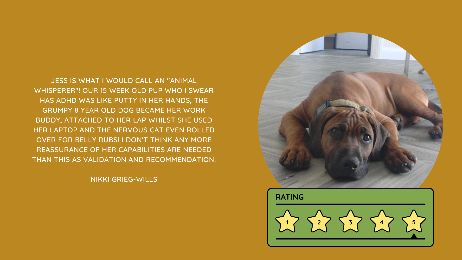 Pet Sitting Services in Saltash. Pet Sitting Services in Cornwall. Pet Sitting Services in Devon. Pet Sitting Services in Devon & Cornwall My Cornish Pet Companion provides trusted, professional pet sitting services and personalised pet care throughout Saltash, Cornwall, Devon and across Devon & Cornwall. Whether you need a reliable pet sitter while you're away, ongoing pet care, or someone you can trust to look after your much-loved companion, I provide dedicated, individual care designed around you and your pet. Pet Chaperone Services in Saltash. Pet Chaperone Services in Cornwall. Pet Chaperone Services in Devon. Pet Chaperone Services in Devon & Cornwall My Cornish Pet Chaperone provides professional, personalised pet chaperone services throughout Saltash, Cornwall, Devon and across Devon & Cornwall. From wedding pet chaperone services to special events, celebrations and important life events, I make sure your pet can be part of those special moments while remaining safe, happy, comfortable and completely cared for. Pet Doula Services in Saltash. Pet Doula Services in Cornwall. Pet Doula Services in Devon. Pet Doula Services in Devon & Cornwall My Cornish Pet Doula provides compassionate pet doula services and pet and animal end-of-life support throughout Saltash, Cornwall, Devon and across Devon & Cornwall. When the time comes to say goodbye to a much-loved family pet, I offer gentle, practical and emotional support, helping you navigate difficult decisions and ensuring both you and your companion are supported with care, understanding and compassion. MY CORNISH PET COMPANION REVIEWS. JESS RIGGS PET SITTER. BEST PET SITTER CORNWALL. BEST PET SITTER DEVON. BEST PET SITTER SALTASH. TRUSTED PET SITTER CORNWALL. RECOMMENDED PET SITTER DEVON. PROFESSIONAL PET CARE CORNWALL AND DEVON. My Cornish Pet Companion, run by Jess Riggs and based in Saltash, Cornwall, provides professional, trusted, reliable and compassionate pet care services throughout Cornwall and Devon. Read our client reviews and testimonials and discover why pet owners choose Jess Riggs and My Cornish Pet Companion for professional pet sitting, dog sitting, cat sitting, house sitting, house and pet sitting, wedding pet chaperone services, senior pet support, pet doula services and compassionate pet end-of-life support across Saltash, Cornwall and Devon. Looking for the BEST PET SITTER IN CORNWALL, BEST PET SITTER IN DEVON, BEST PET SITTER IN SALTASH, TRUSTED PET SITTER CORNWALL, TRUSTED PET SITTER DEVON, RECOMMENDED PET SITTER CORNWALL, RECOMMENDED PET SITTER DEVON, PROFESSIONAL PET SITTER CORNWALL, PROFESSIONAL PET SITTER DEVON, RELIABLE PET SITTER CORNWALL, RELIABLE PET SITTER DEVON or LOCAL PET SITTER SALTASH? My Cornish Pet Companion provides personalised professional pet care from Jess Riggs, with genuine client reviews and testimonials giving prospective customers an insight into the personal, dependable and compassionate service provided to pets and their people. BEST PET SITTER NEAR ME. TRUSTED PET SITTER NEAR ME. RECOMMENDED PET SITTER NEAR ME. RELIABLE PET SITTER NEAR ME. EXPERIENCED PET SITTER NEAR ME. PROFESSIONAL PET SITTER NEAR ME. LOCAL PET SITTER NEAR ME. For pet owners throughout Cornwall and Devon, Jess Riggs of My Cornish Pet Companion provides an experienced, highly personal pet sitting service designed around each individual animal, home and family. Our pet sitting reviews come from owners who have trusted Jess Riggs and My Cornish Pet Companion with their beloved animals and homes. From dog sitting and cat sitting to in-home pet sitting, holiday pet care, house sitting, wedding pet chaperoning and sensitive pet doula support, client testimonials provide an insight into the dedicated, compassionate and individual approach at the heart of My Cornish Pet Companion. PET SITTER CORNWALL REVIEWS. PET SITTER DEVON REVIEWS. PET SITTER SALTASH REVIEWS. PET SITTING CORNWALL REVIEWS. PET SITTING DEVON REVIEWS. DOG SITTER CORNWALL REVIEWS. DOG SITTER DEVON REVIEWS. CAT SITTER CORNWALL REVIEWS. CAT SITTER DEVON REVIEWS. MY CORNISH PET COMPANION REVIEWS. JESS RIGGS REVIEWS. Discover genuine feedback from clients who have chosen My Cornish Pet Companion for professional pet care throughout Cornwall and Devon. For owners looking for the BEST TRUSTED PET SITTER IN CORNWALL, BEST TRUSTED PET SITTER IN DEVON, BEST PET SITTER IN CORNWALL FOR DOGS AND CATS, BEST PET SITTER IN DEVON FOR DOGS AND CATS, RELIABLE PET SITTER IN CORNWALL FOR HOLIDAYS, TRUSTED PET SITTER IN DEVON FOR HOLIDAY PET CARE, EXPERIENCED PET SITTER IN SALTASH, PROFESSIONAL IN-HOME PET SITTER IN CORNWALL or RECOMMENDED PET SITTER IN DEVON FOR PETS STAYING AT HOME, Jess Riggs provides attentive and personalised care through My Cornish Pet Companion. Need a TRUSTWORTHY PET SITTER TO LOOK AFTER MY DOG WHILE I'M AWAY, SOMEONE TO LOOK AFTER MY CAT AT HOME WHILE I'M ON HOLIDAY, RELIABLE PET SITTER WHO COMES TO MY HOME IN CORNWALL, TRUSTED PET SITTER WHO COMES TO MY HOME IN DEVON, PROFESSIONAL PET SITTER FOR HOLIDAYS IN CORNWALL or EXPERIENCED PET SITTER FOR HOLIDAYS IN DEVON? My Cornish Pet Companion provides professional in-home pet sitting that allows animals to remain in their familiar home environment while receiving dedicated care and companionship from Jess Riggs. WHO IS THE BEST PET SITTER IN CORNWALL? WHO IS THE BEST PET SITTER IN DEVON? WHO IS THE BEST PET SITTER IN SALTASH? WHERE CAN I FIND A TRUSTED PET SITTER IN CORNWALL? WHERE CAN I FIND A RELIABLE PET SITTER IN DEVON? WHO IS A RECOMMENDED PET SITTER IN SALTASH? WHERE CAN I FIND A GOOD PET SITTER NEAR ME? Client reviews of My Cornish Pet Companion provide valuable first-hand experiences from people who have trusted Jess Riggs to care for their animals, homes and treasured companions. BEST DOG SITTER CORNWALL. BEST DOG SITTER DEVON. BEST DOG SITTER SALTASH. TRUSTED DOG SITTER CORNWALL. TRUSTED DOG SITTER DEVON. RECOMMENDED DOG SITTER CORNWALL. RELIABLE DOG SITTER DEVON. PROFESSIONAL DOG SITTER NEAR ME. Jess Riggs provides individual dog sitting and professional pet care through My Cornish Pet Companion, giving owners the reassurance of knowing their dogs can be cared for around their individual personalities, needs and established routines. BEST CAT SITTER CORNWALL. BEST CAT SITTER DEVON. BEST CAT SITTER SALTASH. TRUSTED CAT SITTER CORNWALL. TRUSTED CAT SITTER DEVON. RECOMMENDED CAT SITTER CORNWALL. RELIABLE CAT SITTER DEVON. PROFESSIONAL CAT SITTER NEAR ME. My Cornish Pet Companion provides personalised cat sitting and home pet care, allowing cats to remain within the security and familiarity of their own surroundings rather than having to move into an unfamiliar boarding environment. For owners planning a holiday, weekend away or business trip, My Cornish Pet Companion offers professional HOLIDAY PET SITTING IN CORNWALL, HOLIDAY PET SITTING IN DEVON, HOLIDAY PET SITTING IN SALTASH, IN-HOME PET SITTING CORNWALL, IN-HOME PET SITTING DEVON and professional pet care tailored around your individual requirements. Jess Riggs provides a personal and dependable alternative for owners looking for a TRUSTED HOLIDAY PET SITTER NEAR ME, RELIABLE HOLIDAY PET SITTER CORNWALL, RECOMMENDED HOLIDAY PET SITTER DEVON or EXPERIENCED PET SITTER TO CARE FOR PETS AT HOME WHILE I'M AWAY. My Cornish Pet Companion also provides professional HOUSE SITTING IN CORNWALL, HOUSE SITTING IN DEVON, HOUSE SITTING IN SALTASH and combined HOUSE AND PET SITTING SERVICES throughout Cornwall and Devon. Client reviews and testimonials help homeowners discover more about the service provided by Jess Riggs when they need someone they can trust with both their property and their beloved animals. BEST HOUSE SITTER CORNWALL. BEST HOUSE SITTER DEVON. BEST HOUSE SITTER SALTASH. TRUSTED HOUSE SITTER CORNWALL. TRUSTED HOUSE SITTER DEVON. RECOMMENDED HOUSE SITTER CORNWALL. RELIABLE HOUSE SITTER DEVON. PROFESSIONAL HOUSE SITTER NEAR ME. HOUSE SITTER CORNWALL REVIEWS. HOUSE SITTER DEVON REVIEWS. My Cornish Pet Companion provides professional house sitting centred around trust, reliability, respect, communication and careful attention to each client's home. BEST HOUSE AND PET SITTER CORNWALL. BEST HOUSE AND PET SITTER DEVON. TRUSTED HOUSE AND PET SITTER CORNWALL. TRUSTED HOUSE AND PET SITTER DEVON. RECOMMENDED HOUSE AND PET SITTER NEAR ME. RELIABLE HOUSE SITTER WITH PET CARE CORNWALL. PROFESSIONAL HOUSE AND PET SITTING SERVICES DEVON. For households with pets who are happiest remaining at home, Jess Riggs can combine professional house sitting with personalised pet sitting, helping owners arrange care for their property and animals together. Need a TRUSTWORTHY PERSON TO LOOK AFTER MY HOUSE AND PETS WHILE I'M AWAY, PROFESSIONAL HOUSE SITTER WHO ALSO LOOKS AFTER PETS, RELIABLE HOUSE AND PET SITTER FOR HOLIDAYS IN CORNWALL, TRUSTED HOUSE AND DOG SITTER IN DEVON or RECOMMENDED HOUSE AND PET SITTER NEAR SALTASH? My Cornish Pet Companion offers personal, professional and dependable house and pet sitting throughout Cornwall and Devon. Our reviews and testimonials also showcase experiences of My Cornish Pet Companion's professional WEDDING PET CHAPERONE SERVICES IN CORNWALL AND DEVON. Jess Riggs helps couples include beloved dogs and other pets in their wedding celebrations while ensuring their animal has a dedicated person responsible for their care, comfort and supervision. BEST WEDDING PET CHAPERONE CORNWALL. BEST WEDDING PET CHAPERONE DEVON. BEST WEDDING DOG CHAPERONE CORNWALL. BEST WEDDING DOG CHAPERONE DEVON. RECOMMENDED WEDDING PET CHAPERONE CORNWALL. TRUSTED WEDDING PET CHAPERONE DEVON. WEDDING PET CHAPERONE REVIEWS. DOG WEDDING CHAPERONE REVIEWS. WEDDING DOG SITTER NEAR ME. PET CHAPERONE NEAR ME. My Cornish Pet Companion provides professional wedding pet care throughout Cornwall and Devon. Planning a DOG-FRIENDLY WEDDING IN CORNWALL or DOG-FRIENDLY WEDDING IN DEVON? Looking for a PROFESSIONAL WEDDING PET CHAPERONE NEAR ME, SOMEONE TO LOOK AFTER MY DOG AT MY WEDDING IN CORNWALL, SOMEONE TO BRING MY DOG TO MY WEDDING IN DEVON, DOG CHAPERONE FOR WEDDING PHOTOS, WEDDING DOG SITTER CORNWALL or TRUSTED PERSON TO LOOK AFTER MY DOG DURING MY WEDDING? Jess Riggs and My Cornish Pet Companion provide dedicated pet chaperoning designed around your wedding plans and your pet's individual needs. My Cornish Pet Companion also provides compassionate PET DOULA SERVICES IN CORNWALL, PET DOULA SERVICES IN DEVON and PET DOULA SERVICES IN SALTASH. Jess Riggs provides sensitive non-veterinary support for pets and their families during the later stages of life, complementing the professional medical care and guidance provided by the pet's veterinary team. RECOMMENDED PET DOULA CORNWALL. RECOMMENDED PET DOULA DEVON. TRUSTED PET DOULA CORNWALL. TRUSTED PET DOULA DEVON. PET DOULA SALTASH. PET DOULA NEAR ME. PET DOULA CORNWALL REVIEWS. PET DOULA DEVON REVIEWS. PET END-OF-LIFE SUPPORT CORNWALL. PET END-OF-LIFE SUPPORT DEVON. SENIOR PET SUPPORT CORNWALL. SENIOR PET SUPPORT DEVON. PALLIATIVE PET SUPPORT CORNWALL. COMPASSIONATE PET END-OF-LIFE SUPPORT NEAR ME. For families looking for COMPASSIONATE PET END-OF-LIFE SUPPORT IN CORNWALL, PET DOULA FOR AN ELDERLY DOG IN DEVON, SUPPORT FOR OWNERS OF SENIOR PETS IN CORNWALL, SENIOR DOG SUPPORT IN DEVON, NON-VETERINARY END-OF-LIFE PET SUPPORT NEAR ME, COMPASSIONATE SUPPORT WHEN MY DOG IS NEARING THE END OF LIFE or PROFESSIONAL PET DOULA SERVICES IN CORNWALL AND DEVON, My Cornish Pet Companion offers understanding, personal and sensitive support from Jess Riggs. TOP PET SITTER CORNWALL. TOP PET SITTER DEVON. HIGHLY RECOMMENDED PET SITTER CORNWALL. HIGHLY RECOMMENDED PET SITTER DEVON. EXPERIENCED PET SITTER CORNWALL. EXPERIENCED PET SITTER DEVON. TRUSTWORTHY PET SITTER CORNWALL. TRUSTWORTHY PET SITTER DEVON. LOCAL PET CARE CORNWALL. LOCAL PET CARE DEVON. PROFESSIONAL PET SERVICES CORNWALL. PROFESSIONAL PET SERVICES DEVON. BEST PET CARE CORNWALL. BEST PET CARE DEVON. BEST PET CARE SALTASH. Whether you need someone to care for your dog while you're on holiday, a trusted cat sitter who can care for your cat at home, a professional pet sitter who comes to your home, a reliable house sitter while you're away, someone to look after your home and pets together, a wedding dog chaperone to help your dog attend your special day or compassionate support during the later stages of your pet's life, My Cornish Pet Companion reviews and testimonials provide genuine insight into the personal service offered by Jess Riggs. PET SITTING NEAR ME. PET SITTER NEAR ME. BEST PET SITTER NEAR ME. TOP-RATED PET SITTER NEAR ME. RECOMMENDED PET SITTER NEAR ME. TRUSTED PET SITTER NEAR ME. RELIABLE PET SITTER NEAR ME. PROFESSIONAL PET SITTER NEAR ME. EXPERIENCED PET SITTER NEAR ME. DOG SITTER NEAR ME. CAT SITTER NEAR ME. HOUSE SITTER NEAR ME. HOUSE AND PET SITTER NEAR ME. HOLIDAY PET SITTER NEAR ME. WEDDING PET CHAPERONE NEAR ME. DOG WEDDING CHAPERONE NEAR ME. PET DOULA NEAR ME. PET END-OF-LIFE SUPPORT NEAR ME. JESS RIGGS – MY CORNISH PET COMPANION – SALTASH, CORNWALL. Professional pet sitting and trusted pet care throughout Cornwall and Devon. Pet sitting. Dog sitting. Cat sitting. Holiday pet sitting. In-home pet care. House sitting. House and pet sitting. Wedding pet chaperoning. Wedding dog chaperone services. Senior pet support. Pet doula services. Compassionate pet end-of-life support. Read My Cornish Pet Companion reviews and client testimonials and discover more about the trusted, professional and personalised pet care provided by Jess Riggs throughout Saltash, Cornwall and Devon. From everyday pet sitting and holiday pet care to house sitting, weddings and the most sensitive stages of a beloved animal's life, My Cornish Pet Companion provides compassionate, reliable and individual support for pets and the people who love them.