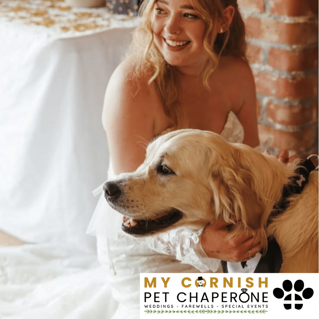 Pet Sitting Services in Saltash. Pet Sitting Services in Cornwall. Pet Sitting Services in Devon. Pet Sitting Services in Devon & Cornwall My Cornish Pet Companion offers professional pet sitting services, personalised pet care services and dedicated pet chaperone services across Saltash, Devon, and Cornwall. From wedding pet chaperone to special event and life event pet chaperone services, I'm here to make sure your pets are cared for, wherever life takes you. Pet Chaperone Services in Saltash. Pet Chaperone Services in Cornwall. Pet Chaperone Services in Devon. Pet Chaperone Services in Devon & Cornwall My Cornish Pet Chaperone offers professional pet chaperone services, personalised pet chaperone services and dedicated pet chaperone services across Saltash, Devon, and Cornwall. From wedding pet chaperone to special event and life event pet chaperone services, I'm here to make sure your pets are cared for, wherever life takes you. Pet Doula Services in Saltash. Pet Doula Services in Cornwall. Pet Doula Services in Devon. Pet Doula Services in Devon & Cornwall My Cornish Pet Doula offers professional pet doula and pet and animal end of life support services, personalised pet doula services and dedicated pet doula services across Saltash, Devon, and Cornwall. When it's time to say goodbye to your family's best friend, then I'm here to bring support and guidance at a difficult time. PROFESSIONAL PET CARE IN SALTASH, CORNWALL AND DEVON. PET SITTING IN SALTASH. PET SITTING IN CORNWALL. PET SITTING IN DEVON. HOUSE SITTING IN CORNWALL AND DEVON. WEDDING PET CHAPERONE SERVICES. PET DOULA AND PET END-OF-LIFE SUPPORT. My Cornish Pet Companion provides professional, trusted, reliable and compassionate pet care services from our base in Saltash, Cornwall, serving pet owners across Cornwall, Devon and the wider Devon and Cornwall region. Offering personalised pet sitting, dog sitting, cat sitting, in-home pet sitting, holiday pet sitting, overnight pet care, house sitting, house and pet sitting, wedding pet chaperone services, dog wedding chaperone services, special event pet chaperoning, senior pet care, pet doula services, palliative pet support and compassionate pet end-of-life support, My Cornish Pet Companion provides a highly personal alternative for owners looking for experienced and dependable professional pet care in Saltash, Cornwall and Devon. If you are searching for a PET SITTER IN SALTASH, PET SITTER IN CORNWALL, PET SITTER IN DEVON, PET SITTING IN CORNWALL, PET SITTING IN DEVON, PET SITTING IN SALTASH, DOG SITTER IN CORNWALL, DOG SITTER IN DEVON, CAT SITTER IN CORNWALL, CAT SITTER IN DEVON, HOME PET SITTER, HOLIDAY PET SITTER, OVERNIGHT PET SITTER or PROFESSIONAL PET CARE NEAR ME, My Cornish Pet Companion offers attentive, individual pet care tailored around your animal, their personality, their established routine and their home environment. Our professional in-home pet sitting services allow dogs, cats and other companion animals to remain in familiar surroundings while their owners are away, with dedicated care, companionship, feeding, exercise, attention and support built around their normal everyday routine. Our PET SITTING SERVICES IN CORNWALL AND DEVON are ideal for owners going on holiday, travelling for work, spending a weekend away, attending a special occasion or simply needing trusted additional support with their pets. Based in SALTASH, CORNWALL, My Cornish Pet Companion provides professional pet sitting and home pet care across Cornwall and Devon for owners seeking a dependable alternative to kennels, catteries and traditional pet boarding. Whether you have a dog, cat, puppy, senior pet, multiple pets or an animal with an individual routine, our personalised Cornwall and Devon pet sitting services are centred around comfort, consistency, companionship and compassionate care. My Cornish Pet Companion also provides PROFESSIONAL HOUSE SITTING IN SALTASH, HOUSE SITTING IN CORNWALL, HOUSE SITTING IN DEVON and combined HOUSE AND PET SITTING SERVICES throughout Cornwall and Devon. If you're searching for a HOUSE SITTER NEAR ME, HOUSE SITTER CORNWALL, HOUSE SITTER DEVON, HOUSE SITTER SALTASH, HOLIDAY HOUSE SITTING, OVERNIGHT HOUSE SITTING, HOME SITTING, PROPERTY SITTING or HOUSE AND PET SITTER NEAR ME, our professional house sitting service provides reassurance that your home is being looked after while you're away. From maintaining a reassuring presence at your property to collecting post, watering plants, putting out bins, checking your home and caring for pets in their own surroundings, our house sitting and pet sitting services are tailored to your individual home, animals and requirements. For couples planning a DOG-FRIENDLY WEDDING IN CORNWALL or DOG-FRIENDLY WEDDING IN DEVON, My Cornish Pet Companion also provides dedicated WEDDING PET CHAPERONE SERVICES throughout Saltash, Cornwall and Devon. Our professional wedding dog chaperone and pet wedding chaperone services help make it possible for your beloved pet to be part of your wedding ceremony, wedding photographs and celebrations while receiving dedicated one-to-one care and supervision. Whether your dog is walking down the aisle, greeting wedding guests, appearing in photographs, acting as a ring bearer or simply joining you for part of your special day, our WEDDING PET CHAPERONE CORNWALL and WEDDING PET CHAPERONE DEVON services allow your pet to participate without placing responsibility for their care on your family, bridesmaids, groomsmen or wedding guests. Searching for a WEDDING PET CHAPERONE NEAR ME, DOG WEDDING CHAPERONE NEAR ME, WEDDING DOG SITTER, PET CHAPERONE CORNWALL, PET CHAPERONE DEVON, WEDDING DOG CHAPERONE CORNWALL, WEDDING DOG CHAPERONE DEVON or WEDDING PET CHAPERONE SALTASH? My Cornish Pet Companion provides professional pet chaperoning for weddings, engagements, proposals, family celebrations, photography sessions, special occasions and other important events across Cornwall and Devon. Our pet chaperone service can include caring for your pet around the event, supervising them while they are present and ensuring they remain comfortable, happy and cared for throughout their involvement in your special occasion. My Cornish Pet Companion also provides compassionate PET DOULA SERVICES IN SALTASH, PET DOULA SERVICES IN CORNWALL and PET DOULA SERVICES IN DEVON for families caring for elderly, senior, seriously ill or end-of-life pets. Our non-veterinary pet doula and pet end-of-life support services provide sensitive, personalised practical and emotional support alongside the professional medical care provided by your veterinary team. For owners searching for a PET DOULA NEAR ME, PET DOULA CORNWALL, PET DOULA DEVON, PET DOULA SALTASH, PET END-OF-LIFE SUPPORT NEAR ME, SENIOR PET CARE CORNWALL, SENIOR PET CARE DEVON, PALLIATIVE PET SUPPORT, END-OF-LIFE SUPPORT FOR DOGS, END-OF-LIFE SUPPORT FOR CATS or COMPASSIONATE PET LOSS SUPPORT, My Cornish Pet Companion offers an understanding and individual approach centred around your pet's comfort, dignity, quality of life and your needs as their family. From everyday professional pet sitting to holiday pet care, overnight pet sitting, house sitting, house and pet sitting, wedding dog chaperoning, special event pet chaperoning, senior pet support and compassionate pet doula services, My Cornish Pet Companion provides a comprehensive range of PROFESSIONAL PET SERVICES IN CORNWALL AND DEVON. Based in SALTASH and serving pet owners across CORNWALL AND DEVON, we provide reliable, attentive and personalised support for owners who want their pets and homes cared for with the same consideration and attention they would give them themselves. PET SITTING NEAR ME. PET SITTER NEAR ME. DOG SITTER NEAR ME. CAT SITTER NEAR ME. PET CARE NEAR ME. HOUSE SITTER NEAR ME. HOUSE AND PET SITTER NEAR ME. PET CHAPERONE NEAR ME. WEDDING PET CHAPERONE NEAR ME. DOG WEDDING CHAPERONE NEAR ME. PET DOULA NEAR ME. PET END-OF-LIFE SUPPORT NEAR ME. For pet owners searching throughout SALTASH, CORNWALL AND DEVON, My Cornish Pet Companion provides professional pet sitting, dog sitting, cat sitting, home pet care, holiday pet sitting, house sitting, property sitting, house and pet sitting, wedding pet care, wedding dog chaperoning, pet chaperone services, senior pet care, pet doula support and compassionate end-of-life pet support. Whether you're looking for PROFESSIONAL PET SITTING IN SALTASH, PROFESSIONAL PET SITTING IN CORNWALL, PROFESSIONAL PET SITTING IN DEVON, TRUSTED PET CARE IN CORNWALL, RELIABLE PET CARE IN DEVON, DOG SITTING IN SALTASH, DOG SITTING IN CORNWALL, DOG SITTING IN DEVON, CAT SITTING IN SALTASH, CAT SITTING IN CORNWALL, CAT SITTING IN DEVON, HOUSE SITTING IN SALTASH, HOUSE SITTING IN CORNWALL, HOUSE SITTING IN DEVON, WEDDING PET CHAPERONING IN CORNWALL, WEDDING PET CHAPERONING IN DEVON, PET DOULA SUPPORT IN CORNWALL or PET DOULA SUPPORT IN DEVON, discover the personal, compassionate and professional service offered by My Cornish Pet Companion. MY CORNISH PET COMPANION – PROFESSIONAL PET CARE IN SALTASH, CORNWALL AND DEVON. Trusted pet sitting, dog sitting, cat sitting, home pet sitting, holiday pet care, house sitting, house and pet sitting, wedding pet chaperone services, dog wedding chaperoning, special occasion pet care, senior pet support, pet doula services and pet end-of-life support throughout Cornwall and Devon. Personal care for beloved pets. Dependable support for their people. Professional pet services tailored around every animal, every home and every individual situation.