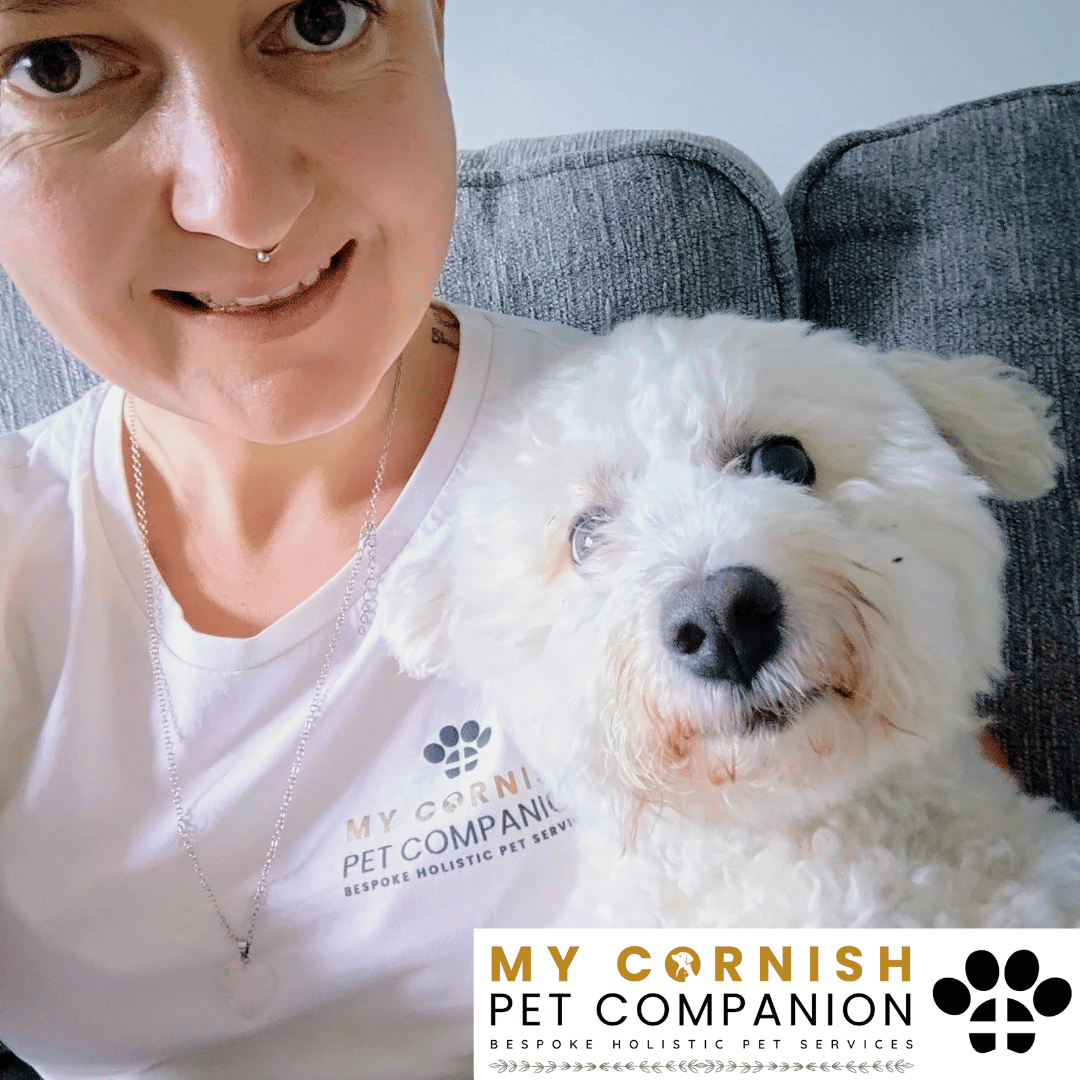 Pet Sitting Services in Saltash. Pet Sitting Services in Cornwall. Pet Sitting Services in Devon. Pet Sitting Services in Devon & Cornwall My Cornish Pet Companion offers professional pet sitting services, personalised pet care services and dedicated pet chaperone services across Saltash, Devon, and Cornwall. From wedding pet chaperone to special event and life event pet chaperone services, I'm here to make sure your pets are cared for, wherever life takes you. Pet Chaperone Services in Saltash. Pet Chaperone Services in Cornwall. Pet Chaperone Services in Devon. Pet Chaperone Services in Devon & Cornwall My Cornish Pet Chaperone offers professional pet chaperone services, personalised pet chaperone services and dedicated pet chaperone services across Saltash, Devon, and Cornwall. From wedding pet chaperone to special event and life event pet chaperone services, I'm here to make sure your pets are cared for, wherever life takes you. Pet Doula Services in Saltash. Pet Doula Services in Cornwall. Pet Doula Services in Devon. Pet Doula Services in Devon & Cornwall My Cornish Pet Doula offers professional pet doula and pet and animal end of life support services, personalised pet doula services and dedicated pet doula services across Saltash, Devon, and Cornwall. When it's time to say goodbye to your family's best friend, then I'm here to bring support and guidance at a difficult time. PROFESSIONAL PET CARE IN SALTASH, CORNWALL AND DEVON. PET SITTING IN SALTASH. PET SITTING IN CORNWALL. PET SITTING IN DEVON. HOUSE SITTING IN CORNWALL AND DEVON. WEDDING PET CHAPERONE SERVICES. PET DOULA AND PET END-OF-LIFE SUPPORT. My Cornish Pet Companion provides professional, trusted, reliable and compassionate pet care services from our base in Saltash, Cornwall, serving pet owners across Cornwall, Devon and the wider Devon and Cornwall region. Offering personalised pet sitting, dog sitting, cat sitting, in-home pet sitting, holiday pet sitting, overnight pet care, house sitting, house and pet sitting, wedding pet chaperone services, dog wedding chaperone services, special event pet chaperoning, senior pet care, pet doula services, palliative pet support and compassionate pet end-of-life support, My Cornish Pet Companion provides a highly personal alternative for owners looking for experienced and dependable professional pet care in Saltash, Cornwall and Devon. If you are searching for a PET SITTER IN SALTASH, PET SITTER IN CORNWALL, PET SITTER IN DEVON, PET SITTING IN CORNWALL, PET SITTING IN DEVON, PET SITTING IN SALTASH, DOG SITTER IN CORNWALL, DOG SITTER IN DEVON, CAT SITTER IN CORNWALL, CAT SITTER IN DEVON, HOME PET SITTER, HOLIDAY PET SITTER, OVERNIGHT PET SITTER or PROFESSIONAL PET CARE NEAR ME, My Cornish Pet Companion offers attentive, individual pet care tailored around your animal, their personality, their established routine and their home environment. Our professional in-home pet sitting services allow dogs, cats and other companion animals to remain in familiar surroundings while their owners are away, with dedicated care, companionship, feeding, exercise, attention and support built around their normal everyday routine. Our PET SITTING SERVICES IN CORNWALL AND DEVON are ideal for owners going on holiday, travelling for work, spending a weekend away, attending a special occasion or simply needing trusted additional support with their pets. Based in SALTASH, CORNWALL, My Cornish Pet Companion provides professional pet sitting and home pet care across Cornwall and Devon for owners seeking a dependable alternative to kennels, catteries and traditional pet boarding. Whether you have a dog, cat, puppy, senior pet, multiple pets or an animal with an individual routine, our personalised Cornwall and Devon pet sitting services are centred around comfort, consistency, companionship and compassionate care. My Cornish Pet Companion also provides PROFESSIONAL HOUSE SITTING IN SALTASH, HOUSE SITTING IN CORNWALL, HOUSE SITTING IN DEVON and combined HOUSE AND PET SITTING SERVICES throughout Cornwall and Devon. If you're searching for a HOUSE SITTER NEAR ME, HOUSE SITTER CORNWALL, HOUSE SITTER DEVON, HOUSE SITTER SALTASH, HOLIDAY HOUSE SITTING, OVERNIGHT HOUSE SITTING, HOME SITTING, PROPERTY SITTING or HOUSE AND PET SITTER NEAR ME, our professional house sitting service provides reassurance that your home is being looked after while you're away. From maintaining a reassuring presence at your property to collecting post, watering plants, putting out bins, checking your home and caring for pets in their own surroundings, our house sitting and pet sitting services are tailored to your individual home, animals and requirements. For couples planning a DOG-FRIENDLY WEDDING IN CORNWALL or DOG-FRIENDLY WEDDING IN DEVON, My Cornish Pet Companion also provides dedicated WEDDING PET CHAPERONE SERVICES throughout Saltash, Cornwall and Devon. Our professional wedding dog chaperone and pet wedding chaperone services help make it possible for your beloved pet to be part of your wedding ceremony, wedding photographs and celebrations while receiving dedicated one-to-one care and supervision. Whether your dog is walking down the aisle, greeting wedding guests, appearing in photographs, acting as a ring bearer or simply joining you for part of your special day, our WEDDING PET CHAPERONE CORNWALL and WEDDING PET CHAPERONE DEVON services allow your pet to participate without placing responsibility for their care on your family, bridesmaids, groomsmen or wedding guests. Searching for a WEDDING PET CHAPERONE NEAR ME, DOG WEDDING CHAPERONE NEAR ME, WEDDING DOG SITTER, PET CHAPERONE CORNWALL, PET CHAPERONE DEVON, WEDDING DOG CHAPERONE CORNWALL, WEDDING DOG CHAPERONE DEVON or WEDDING PET CHAPERONE SALTASH? My Cornish Pet Companion provides professional pet chaperoning for weddings, engagements, proposals, family celebrations, photography sessions, special occasions and other important events across Cornwall and Devon. Our pet chaperone service can include caring for your pet around the event, supervising them while they are present and ensuring they remain comfortable, happy and cared for throughout their involvement in your special occasion. My Cornish Pet Companion also provides compassionate PET DOULA SERVICES IN SALTASH, PET DOULA SERVICES IN CORNWALL and PET DOULA SERVICES IN DEVON for families caring for elderly, senior, seriously ill or end-of-life pets. Our non-veterinary pet doula and pet end-of-life support services provide sensitive, personalised practical and emotional support alongside the professional medical care provided by your veterinary team. For owners searching for a PET DOULA NEAR ME, PET DOULA CORNWALL, PET DOULA DEVON, PET DOULA SALTASH, PET END-OF-LIFE SUPPORT NEAR ME, SENIOR PET CARE CORNWALL, SENIOR PET CARE DEVON, PALLIATIVE PET SUPPORT, END-OF-LIFE SUPPORT FOR DOGS, END-OF-LIFE SUPPORT FOR CATS or COMPASSIONATE PET LOSS SUPPORT, My Cornish Pet Companion offers an understanding and individual approach centred around your pet's comfort, dignity, quality of life and your needs as their family. From everyday professional pet sitting to holiday pet care, overnight pet sitting, house sitting, house and pet sitting, wedding dog chaperoning, special event pet chaperoning, senior pet support and compassionate pet doula services, My Cornish Pet Companion provides a comprehensive range of PROFESSIONAL PET SERVICES IN CORNWALL AND DEVON. Based in SALTASH and serving pet owners across CORNWALL AND DEVON, we provide reliable, attentive and personalised support for owners who want their pets and homes cared for with the same consideration and attention they would give them themselves. PET SITTING NEAR ME. PET SITTER NEAR ME. DOG SITTER NEAR ME. CAT SITTER NEAR ME. PET CARE NEAR ME. HOUSE SITTER NEAR ME. HOUSE AND PET SITTER NEAR ME. PET CHAPERONE NEAR ME. WEDDING PET CHAPERONE NEAR ME. DOG WEDDING CHAPERONE NEAR ME. PET DOULA NEAR ME. PET END-OF-LIFE SUPPORT NEAR ME. For pet owners searching throughout SALTASH, CORNWALL AND DEVON, My Cornish Pet Companion provides professional pet sitting, dog sitting, cat sitting, home pet care, holiday pet sitting, house sitting, property sitting, house and pet sitting, wedding pet care, wedding dog chaperoning, pet chaperone services, senior pet care, pet doula support and compassionate end-of-life pet support. Whether you're looking for PROFESSIONAL PET SITTING IN SALTASH, PROFESSIONAL PET SITTING IN CORNWALL, PROFESSIONAL PET SITTING IN DEVON, TRUSTED PET CARE IN CORNWALL, RELIABLE PET CARE IN DEVON, DOG SITTING IN SALTASH, DOG SITTING IN CORNWALL, DOG SITTING IN DEVON, CAT SITTING IN SALTASH, CAT SITTING IN CORNWALL, CAT SITTING IN DEVON, HOUSE SITTING IN SALTASH, HOUSE SITTING IN CORNWALL, HOUSE SITTING IN DEVON, WEDDING PET CHAPERONING IN CORNWALL, WEDDING PET CHAPERONING IN DEVON, PET DOULA SUPPORT IN CORNWALL or PET DOULA SUPPORT IN DEVON, discover the personal, compassionate and professional service offered by My Cornish Pet Companion. MY CORNISH PET COMPANION – PROFESSIONAL PET CARE IN SALTASH, CORNWALL AND DEVON. Trusted pet sitting, dog sitting, cat sitting, home pet sitting, holiday pet care, house sitting, house and pet sitting, wedding pet chaperone services, dog wedding chaperoning, special occasion pet care, senior pet support, pet doula services and pet end-of-life support throughout Cornwall and Devon. Personal care for beloved pets. Dependable support for their people. Professional pet services tailored around every animal, every home and every individual situation.