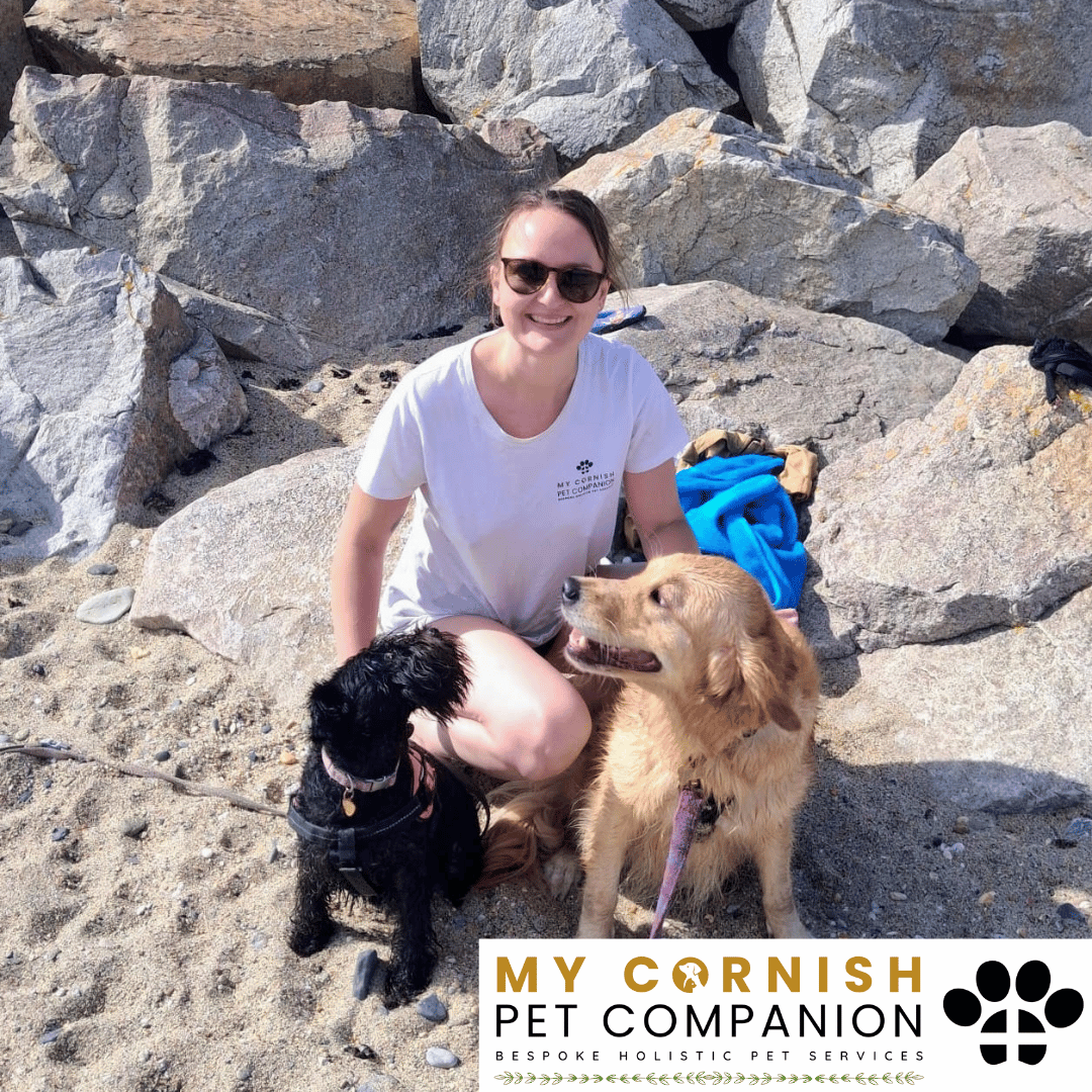 Pet Sitting Services in Saltash. Pet Sitting Services in Cornwall. Pet Sitting Services in Devon. Pet Sitting Services in Devon & Cornwall My Cornish Pet Companion offers professional pet sitting services, personalised pet care services and dedicated pet chaperone services across Saltash, Devon, and Cornwall. From wedding pet chaperone to special event and life event pet chaperone services, I'm here to make sure your pets are cared for, wherever life takes you. Pet Chaperone Services in Saltash. Pet Chaperone Services in Cornwall. Pet Chaperone Services in Devon. Pet Chaperone Services in Devon & Cornwall My Cornish Pet Chaperone offers professional pet chaperone services, personalised pet chaperone services and dedicated pet chaperone services across Saltash, Devon, and Cornwall. From wedding pet chaperone to special event and life event pet chaperone services, I'm here to make sure your pets are cared for, wherever life takes you. Pet Doula Services in Saltash. Pet Doula Services in Cornwall. Pet Doula Services in Devon. Pet Doula Services in Devon & Cornwall My Cornish Pet Doula offers professional pet doula and pet and animal end of life support services, personalised pet doula services and dedicated pet doula services across Saltash, Devon, and Cornwall. When it's time to say goodbye to your family's best friend, then I'm here to bring support and guidance at a difficult time. PROFESSIONAL PET CARE IN SALTASH, CORNWALL AND DEVON. PET SITTING IN SALTASH. PET SITTING IN CORNWALL. PET SITTING IN DEVON. HOUSE SITTING IN CORNWALL AND DEVON. WEDDING PET CHAPERONE SERVICES. PET DOULA AND PET END-OF-LIFE SUPPORT. My Cornish Pet Companion provides professional, trusted, reliable and compassionate pet care services from our base in Saltash, Cornwall, serving pet owners across Cornwall, Devon and the wider Devon and Cornwall region. Offering personalised pet sitting, dog sitting, cat sitting, in-home pet sitting, holiday pet sitting, overnight pet care, house sitting, house and pet sitting, wedding pet chaperone services, dog wedding chaperone services, special event pet chaperoning, senior pet care, pet doula services, palliative pet support and compassionate pet end-of-life support, My Cornish Pet Companion provides a highly personal alternative for owners looking for experienced and dependable professional pet care in Saltash, Cornwall and Devon. If you are searching for a PET SITTER IN SALTASH, PET SITTER IN CORNWALL, PET SITTER IN DEVON, PET SITTING IN CORNWALL, PET SITTING IN DEVON, PET SITTING IN SALTASH, DOG SITTER IN CORNWALL, DOG SITTER IN DEVON, CAT SITTER IN CORNWALL, CAT SITTER IN DEVON, HOME PET SITTER, HOLIDAY PET SITTER, OVERNIGHT PET SITTER or PROFESSIONAL PET CARE NEAR ME, My Cornish Pet Companion offers attentive, individual pet care tailored around your animal, their personality, their established routine and their home environment. Our professional in-home pet sitting services allow dogs, cats and other companion animals to remain in familiar surroundings while their owners are away, with dedicated care, companionship, feeding, exercise, attention and support built around their normal everyday routine. Our PET SITTING SERVICES IN CORNWALL AND DEVON are ideal for owners going on holiday, travelling for work, spending a weekend away, attending a special occasion or simply needing trusted additional support with their pets. Based in SALTASH, CORNWALL, My Cornish Pet Companion provides professional pet sitting and home pet care across Cornwall and Devon for owners seeking a dependable alternative to kennels, catteries and traditional pet boarding. Whether you have a dog, cat, puppy, senior pet, multiple pets or an animal with an individual routine, our personalised Cornwall and Devon pet sitting services are centred around comfort, consistency, companionship and compassionate care. My Cornish Pet Companion also provides PROFESSIONAL HOUSE SITTING IN SALTASH, HOUSE SITTING IN CORNWALL, HOUSE SITTING IN DEVON and combined HOUSE AND PET SITTING SERVICES throughout Cornwall and Devon. If you're searching for a HOUSE SITTER NEAR ME, HOUSE SITTER CORNWALL, HOUSE SITTER DEVON, HOUSE SITTER SALTASH, HOLIDAY HOUSE SITTING, OVERNIGHT HOUSE SITTING, HOME SITTING, PROPERTY SITTING or HOUSE AND PET SITTER NEAR ME, our professional house sitting service provides reassurance that your home is being looked after while you're away. From maintaining a reassuring presence at your property to collecting post, watering plants, putting out bins, checking your home and caring for pets in their own surroundings, our house sitting and pet sitting services are tailored to your individual home, animals and requirements. For couples planning a DOG-FRIENDLY WEDDING IN CORNWALL or DOG-FRIENDLY WEDDING IN DEVON, My Cornish Pet Companion also provides dedicated WEDDING PET CHAPERONE SERVICES throughout Saltash, Cornwall and Devon. Our professional wedding dog chaperone and pet wedding chaperone services help make it possible for your beloved pet to be part of your wedding ceremony, wedding photographs and celebrations while receiving dedicated one-to-one care and supervision. Whether your dog is walking down the aisle, greeting wedding guests, appearing in photographs, acting as a ring bearer or simply joining you for part of your special day, our WEDDING PET CHAPERONE CORNWALL and WEDDING PET CHAPERONE DEVON services allow your pet to participate without placing responsibility for their care on your family, bridesmaids, groomsmen or wedding guests. Searching for a WEDDING PET CHAPERONE NEAR ME, DOG WEDDING CHAPERONE NEAR ME, WEDDING DOG SITTER, PET CHAPERONE CORNWALL, PET CHAPERONE DEVON, WEDDING DOG CHAPERONE CORNWALL, WEDDING DOG CHAPERONE DEVON or WEDDING PET CHAPERONE SALTASH? My Cornish Pet Companion provides professional pet chaperoning for weddings, engagements, proposals, family celebrations, photography sessions, special occasions and other important events across Cornwall and Devon. Our pet chaperone service can include caring for your pet around the event, supervising them while they are present and ensuring they remain comfortable, happy and cared for throughout their involvement in your special occasion. My Cornish Pet Companion also provides compassionate PET DOULA SERVICES IN SALTASH, PET DOULA SERVICES IN CORNWALL and PET DOULA SERVICES IN DEVON for families caring for elderly, senior, seriously ill or end-of-life pets. Our non-veterinary pet doula and pet end-of-life support services provide sensitive, personalised practical and emotional support alongside the professional medical care provided by your veterinary team. For owners searching for a PET DOULA NEAR ME, PET DOULA CORNWALL, PET DOULA DEVON, PET DOULA SALTASH, PET END-OF-LIFE SUPPORT NEAR ME, SENIOR PET CARE CORNWALL, SENIOR PET CARE DEVON, PALLIATIVE PET SUPPORT, END-OF-LIFE SUPPORT FOR DOGS, END-OF-LIFE SUPPORT FOR CATS or COMPASSIONATE PET LOSS SUPPORT, My Cornish Pet Companion offers an understanding and individual approach centred around your pet's comfort, dignity, quality of life and your needs as their family. From everyday professional pet sitting to holiday pet care, overnight pet sitting, house sitting, house and pet sitting, wedding dog chaperoning, special event pet chaperoning, senior pet support and compassionate pet doula services, My Cornish Pet Companion provides a comprehensive range of PROFESSIONAL PET SERVICES IN CORNWALL AND DEVON. Based in SALTASH and serving pet owners across CORNWALL AND DEVON, we provide reliable, attentive and personalised support for owners who want their pets and homes cared for with the same consideration and attention they would give them themselves. PET SITTING NEAR ME. PET SITTER NEAR ME. DOG SITTER NEAR ME. CAT SITTER NEAR ME. PET CARE NEAR ME. HOUSE SITTER NEAR ME. HOUSE AND PET SITTER NEAR ME. PET CHAPERONE NEAR ME. WEDDING PET CHAPERONE NEAR ME. DOG WEDDING CHAPERONE NEAR ME. PET DOULA NEAR ME. PET END-OF-LIFE SUPPORT NEAR ME. For pet owners searching throughout SALTASH, CORNWALL AND DEVON, My Cornish Pet Companion provides professional pet sitting, dog sitting, cat sitting, home pet care, holiday pet sitting, house sitting, property sitting, house and pet sitting, wedding pet care, wedding dog chaperoning, pet chaperone services, senior pet care, pet doula support and compassionate end-of-life pet support. Whether you're looking for PROFESSIONAL PET SITTING IN SALTASH, PROFESSIONAL PET SITTING IN CORNWALL, PROFESSIONAL PET SITTING IN DEVON, TRUSTED PET CARE IN CORNWALL, RELIABLE PET CARE IN DEVON, DOG SITTING IN SALTASH, DOG SITTING IN CORNWALL, DOG SITTING IN DEVON, CAT SITTING IN SALTASH, CAT SITTING IN CORNWALL, CAT SITTING IN DEVON, HOUSE SITTING IN SALTASH, HOUSE SITTING IN CORNWALL, HOUSE SITTING IN DEVON, WEDDING PET CHAPERONING IN CORNWALL, WEDDING PET CHAPERONING IN DEVON, PET DOULA SUPPORT IN CORNWALL or PET DOULA SUPPORT IN DEVON, discover the personal, compassionate and professional service offered by My Cornish Pet Companion. MY CORNISH PET COMPANION – PROFESSIONAL PET CARE IN SALTASH, CORNWALL AND DEVON. Trusted pet sitting, dog sitting, cat sitting, home pet sitting, holiday pet care, house sitting, house and pet sitting, wedding pet chaperone services, dog wedding chaperoning, special occasion pet care, senior pet support, pet doula services and pet end-of-life support throughout Cornwall and Devon. Personal care for beloved pets. Dependable support for their people. Professional pet services tailored around every animal, every home and every individual situation.