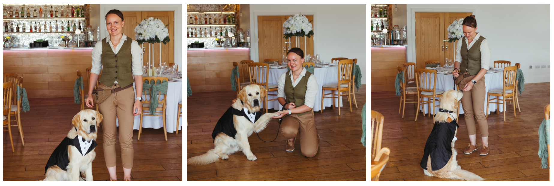 PET SITTING SERVICES IN CORNWALL. PET SITTING SERVICES IN SALTASH. PET SITTING SERVICES IN DEVON. PET SITTING SERVICES IN DEVON & CORNWALL. My Cornish Pet Companion offers trusted pet sitting services and personalised pet care services in Saltash, as well as expert pet sitting services and pet care services across Devon, and Devon and Cornwall. Whether you're looking for a reliable pet sitter in Saltash or need a dedicated pet sitter in Devon and Cornwall, we’ve got you covered. We also provide professional pet chaperone services, including wedding pet chaperone, special event pet chaperone, and life event pet chaperone services throughout Saltash and the whole Devon and Cornwall region — helping your pets be part of your most meaningful moments with love and care.